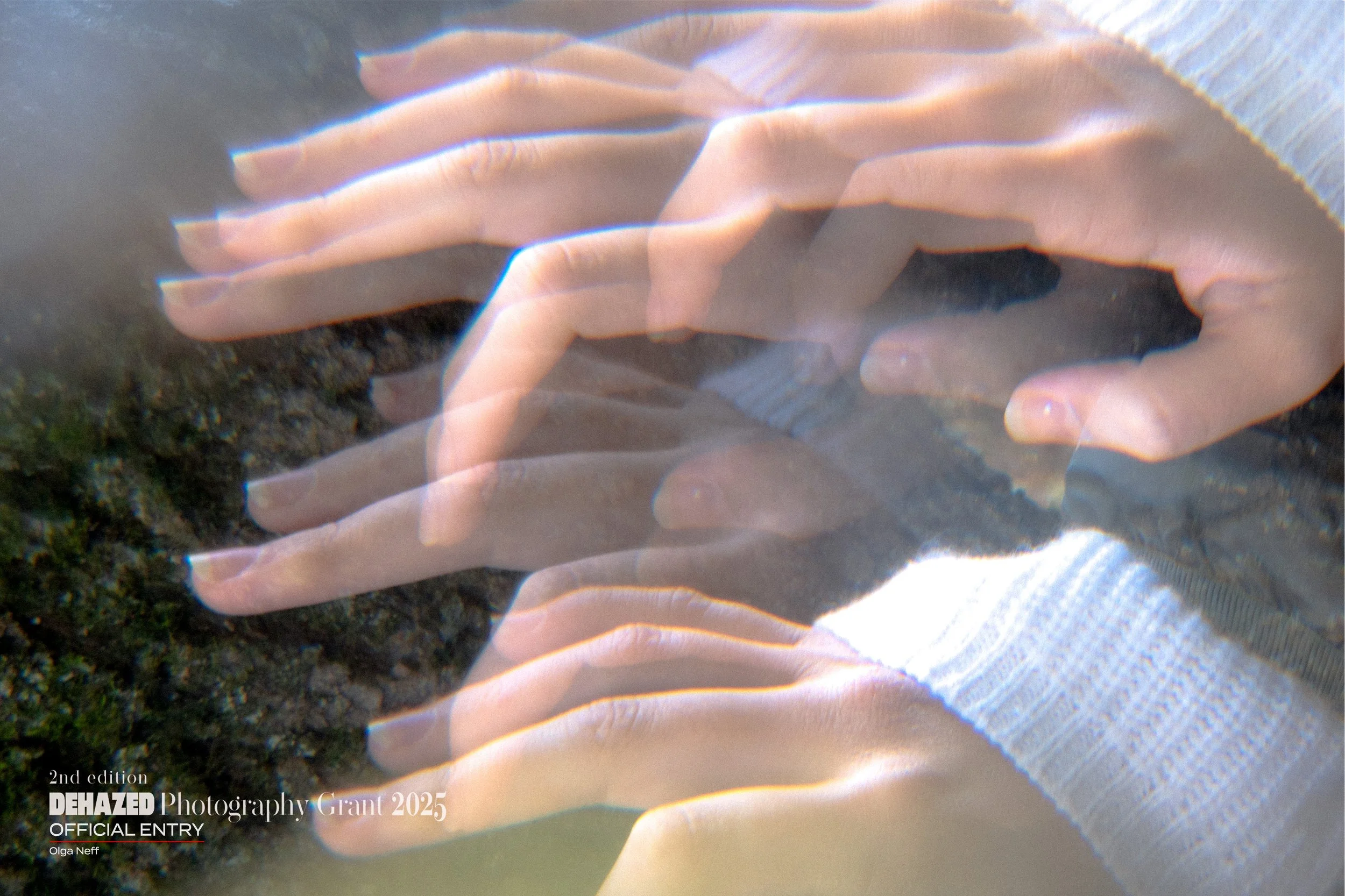 Echo+Palm (1).jpg