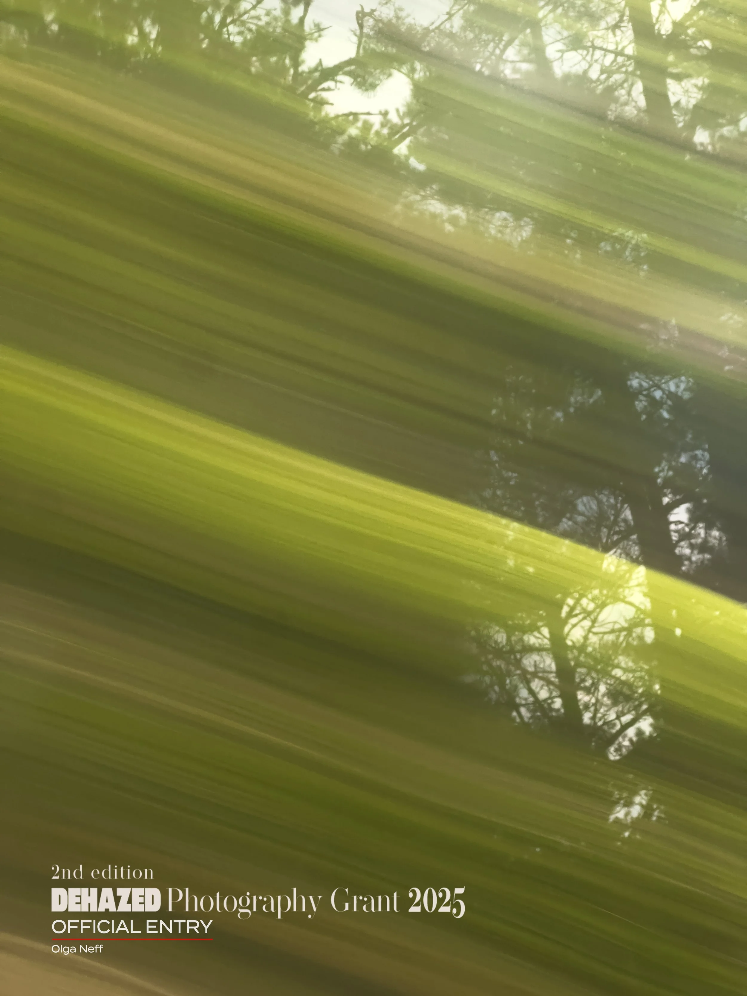 forest1.jpg