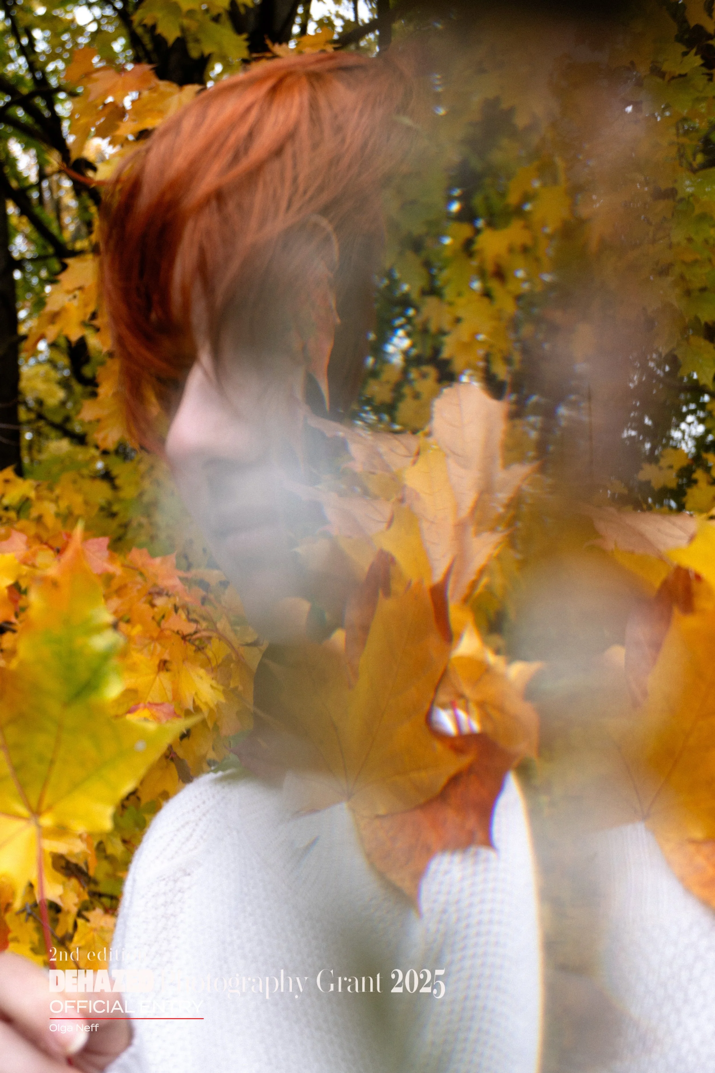 Face+of+Autumn+II (1).jpg