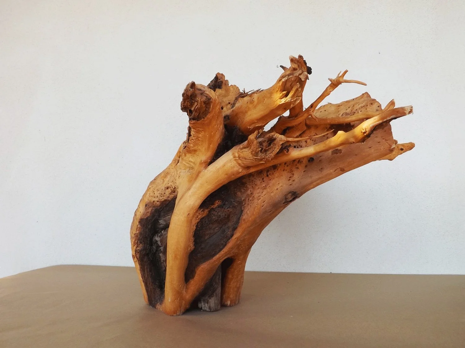 Yawlerin Creek Sandalwood our products sandalwood butts 4
