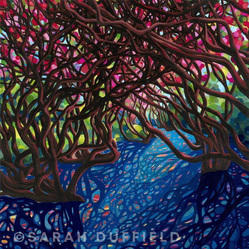 "Floor Stars" Prints