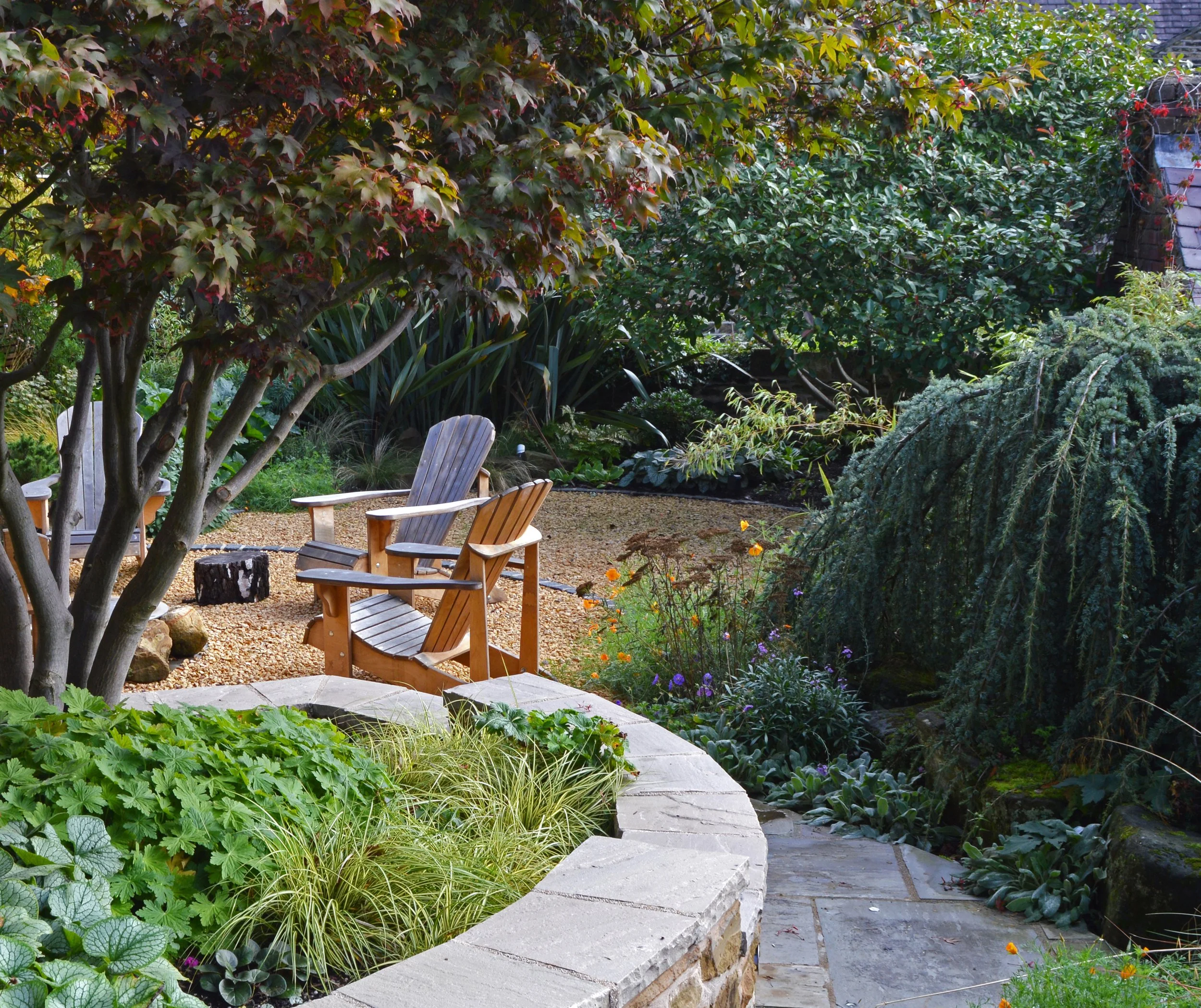 DSC_0787 adjusted cropped.JPG