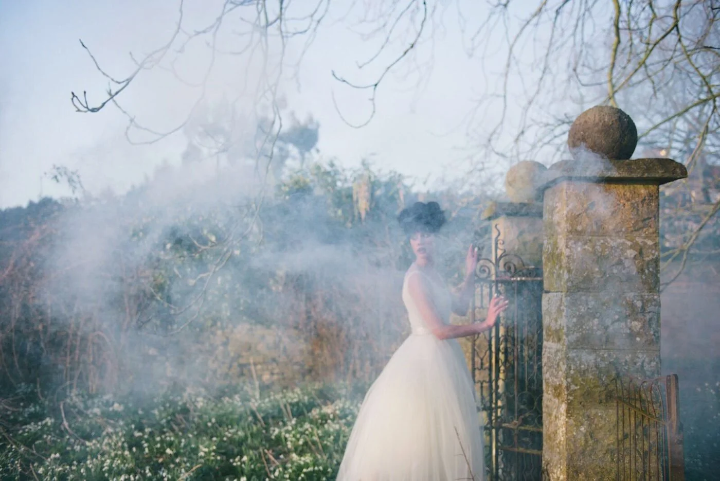 Misty Morning by Laura Power
