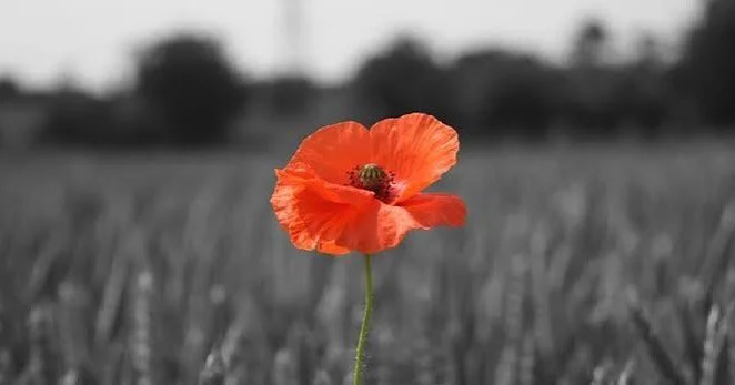 Remembering those who gave so that I could live in a safe place today.