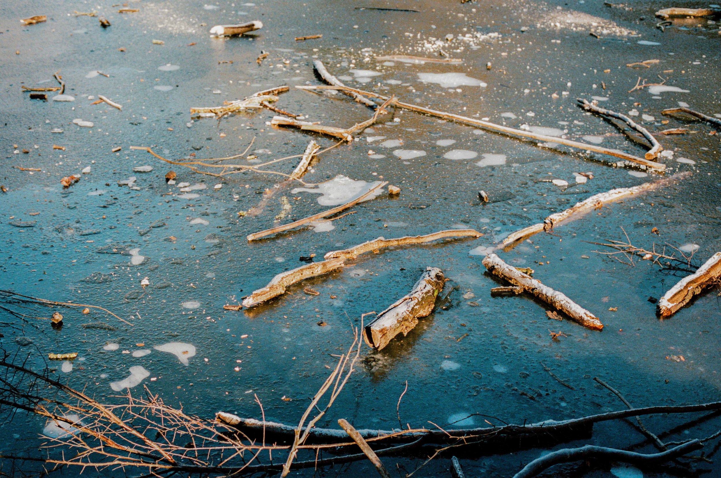 Hampstead heath-5 resized.jpg