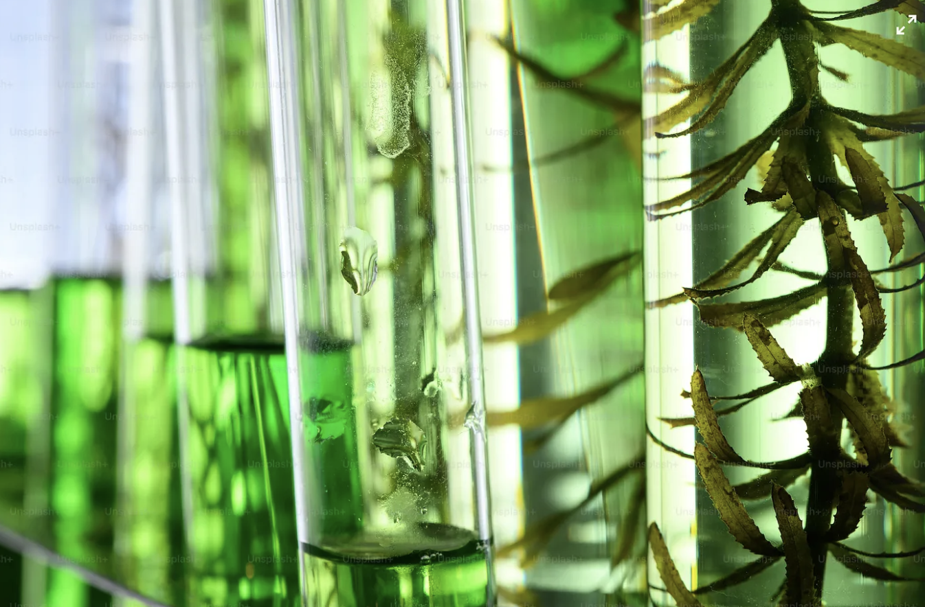 Skærmbillede 2023-08-17 kl. 11.23.56.png