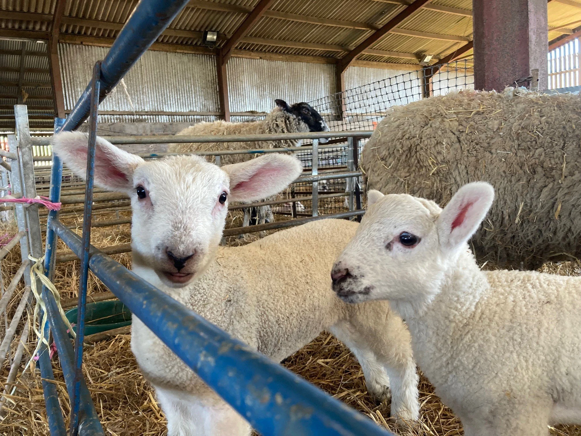 Will farming ever be a one day per week job?