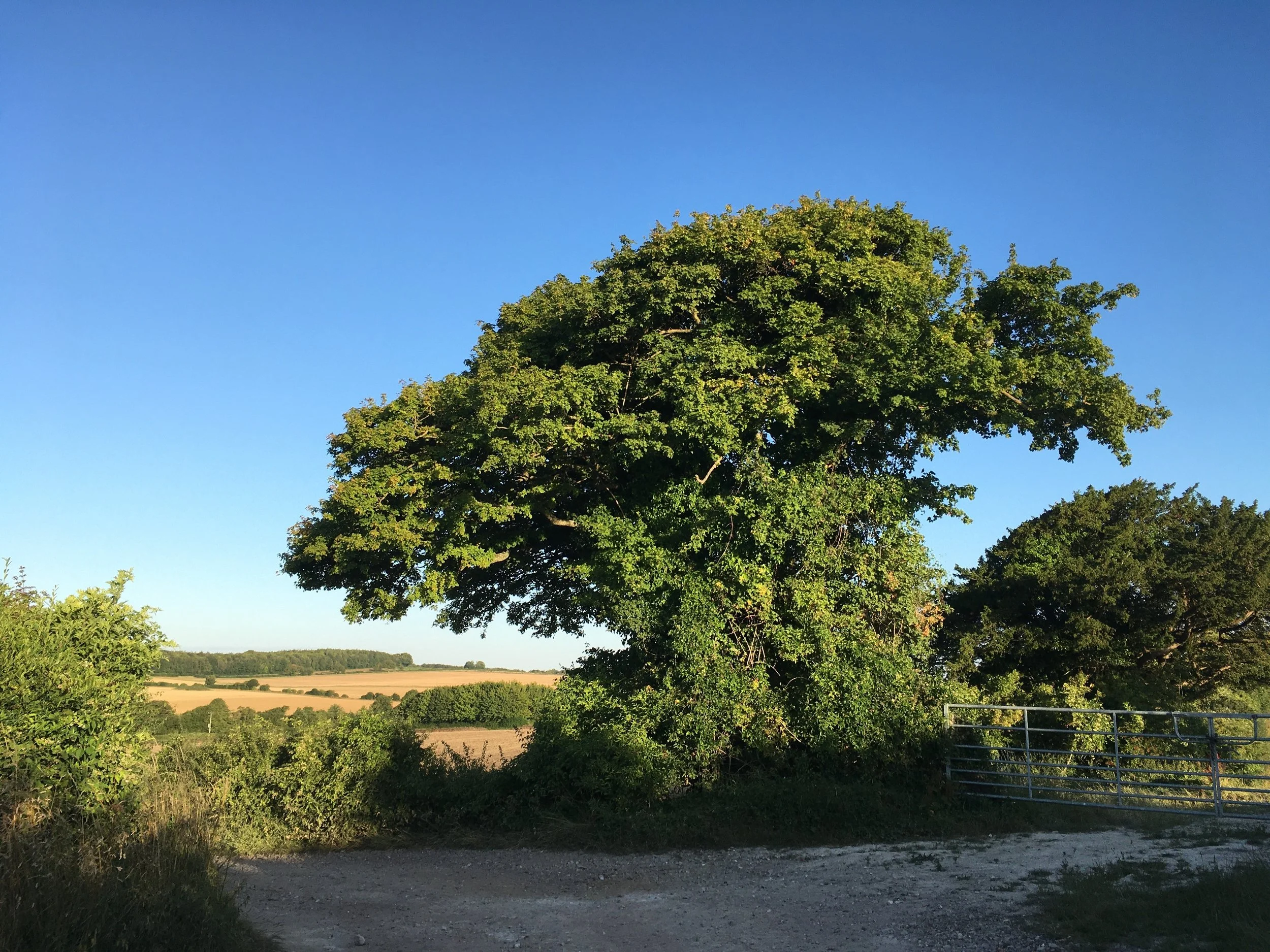 Doing the heavy lifting for nature recovery