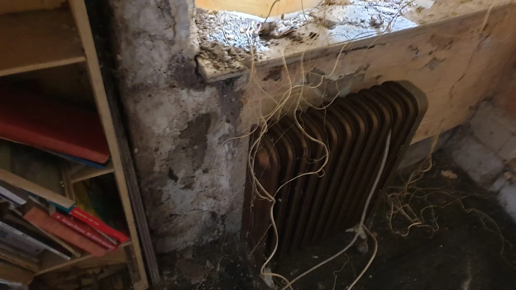 old radiator and old bookshelf and moldy walls and plants