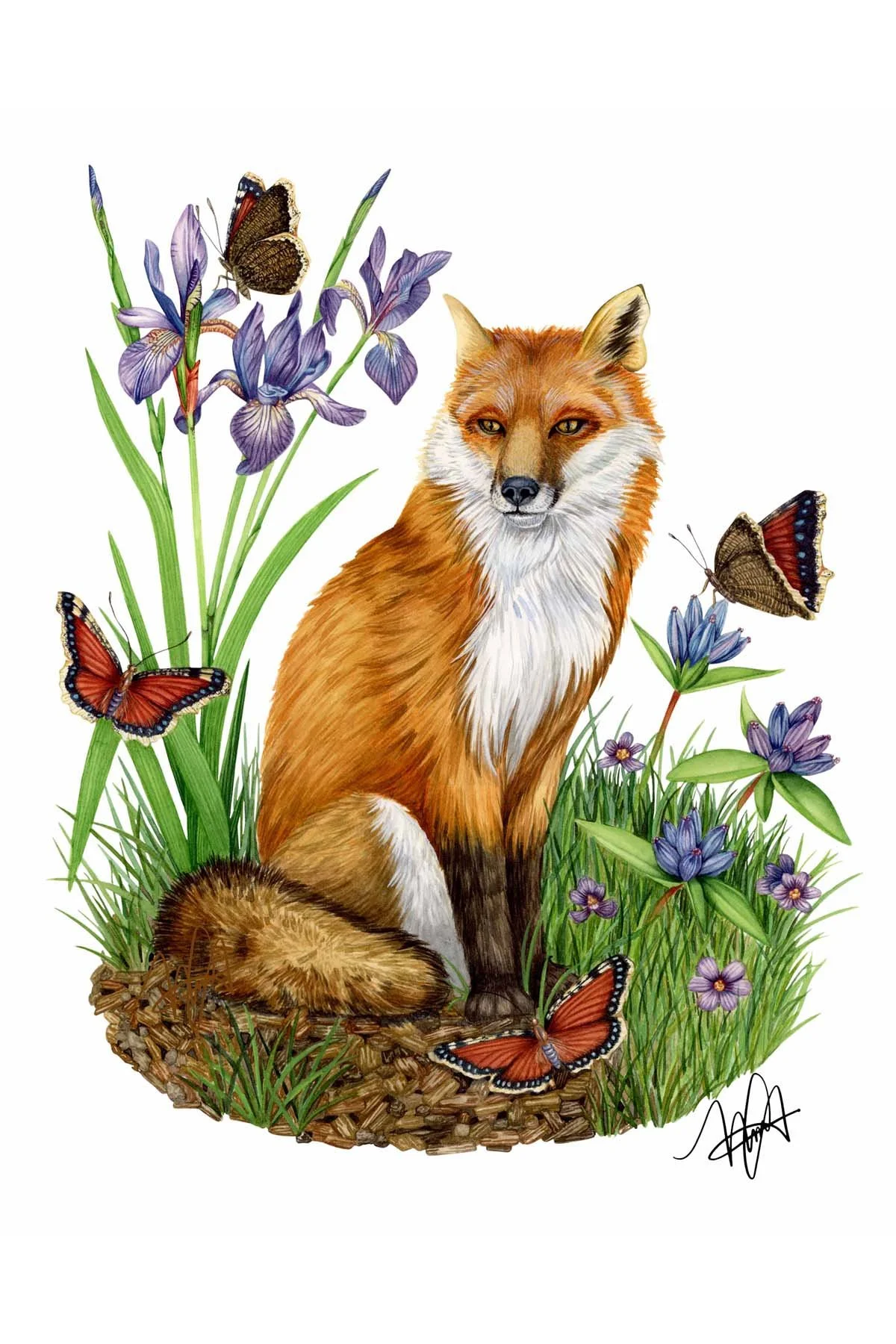 botanical fox 26.jpg