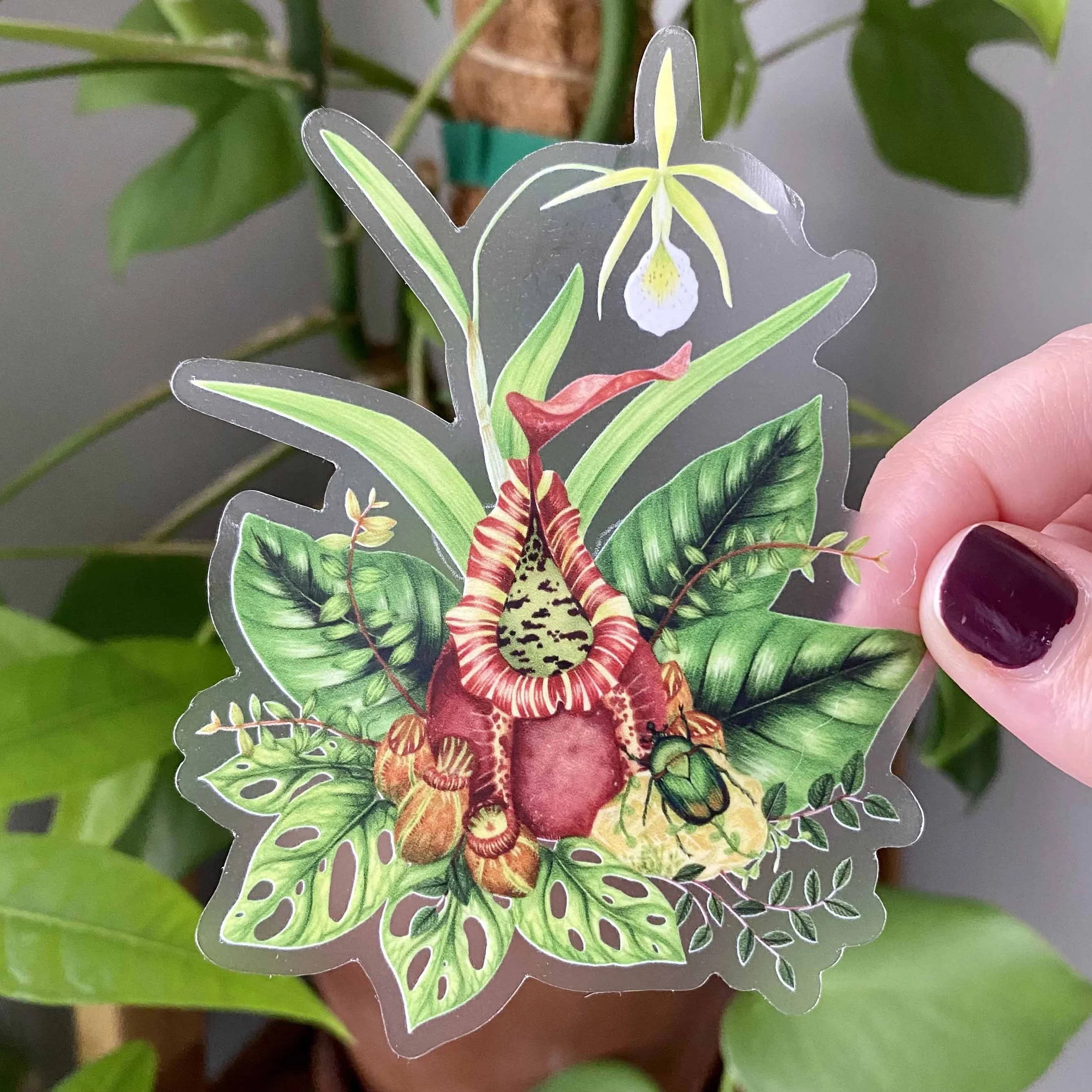 orchid beetle sticker.jpg