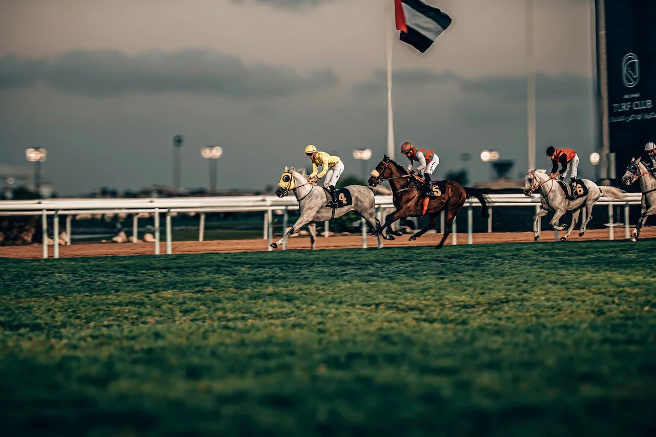 Abu Dhabi  TURF CLUB 2024-162.jpeg