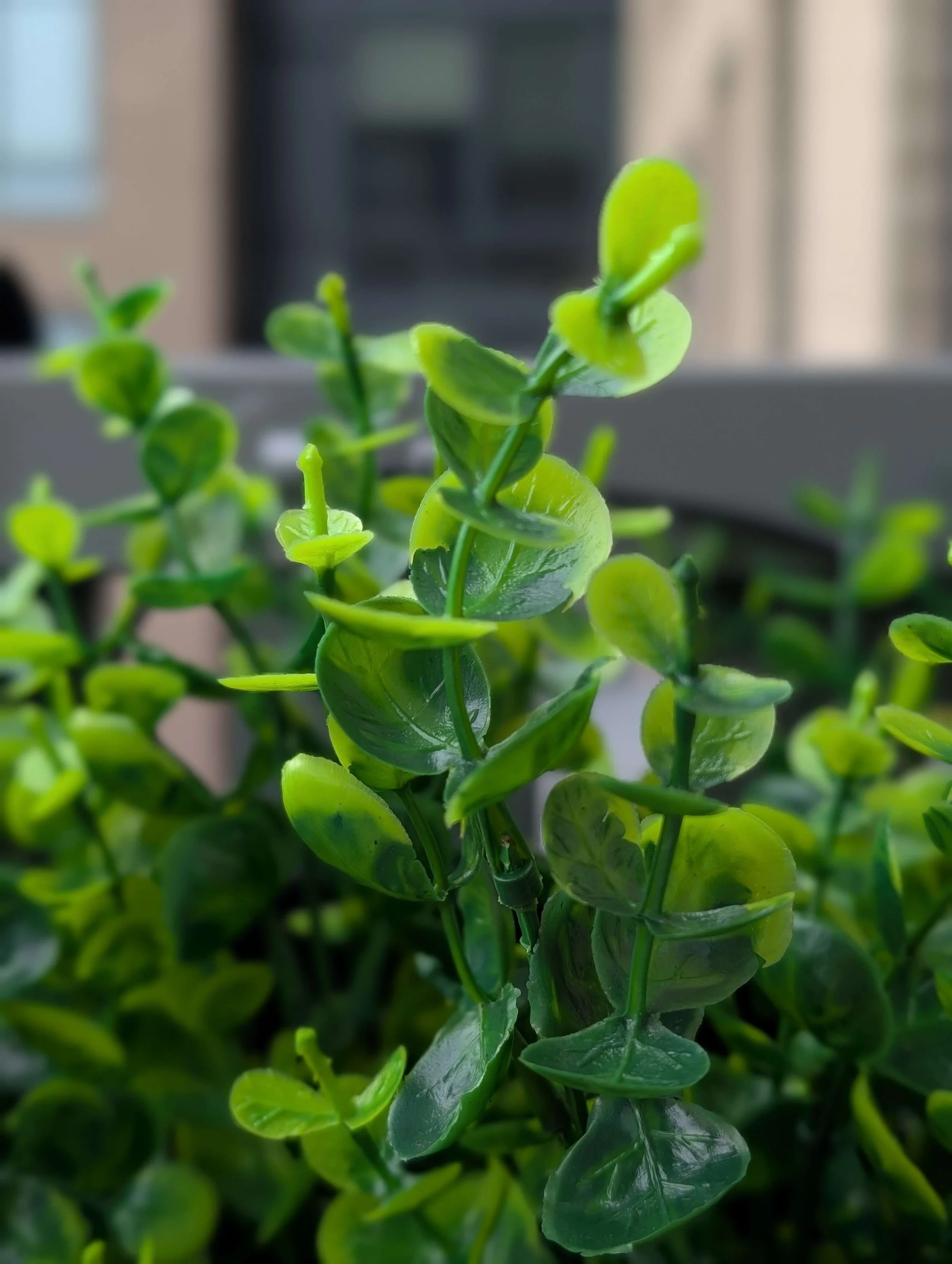 12 Bundles Artificial UV Resistant Boxwood Shrubs