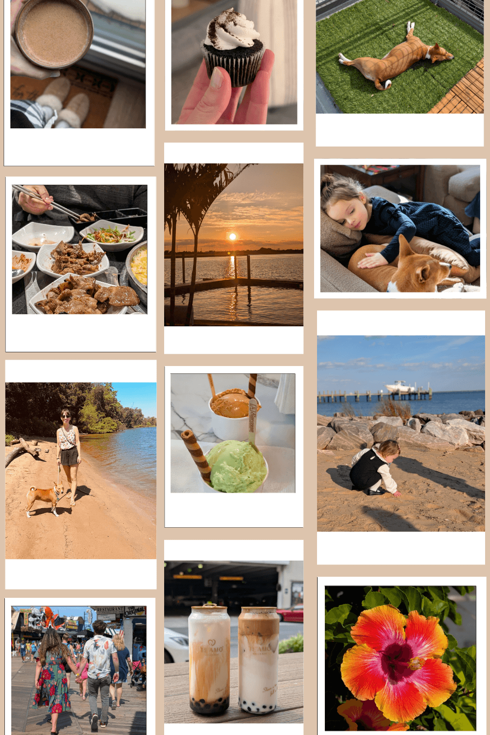 I’ve Made a Collage Every Day for 235 Days. This Is What It Taught Me.