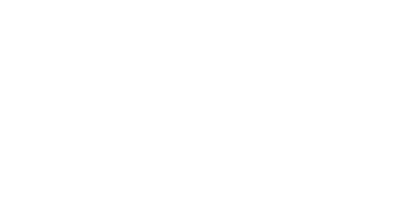 International Sustainability Institute 