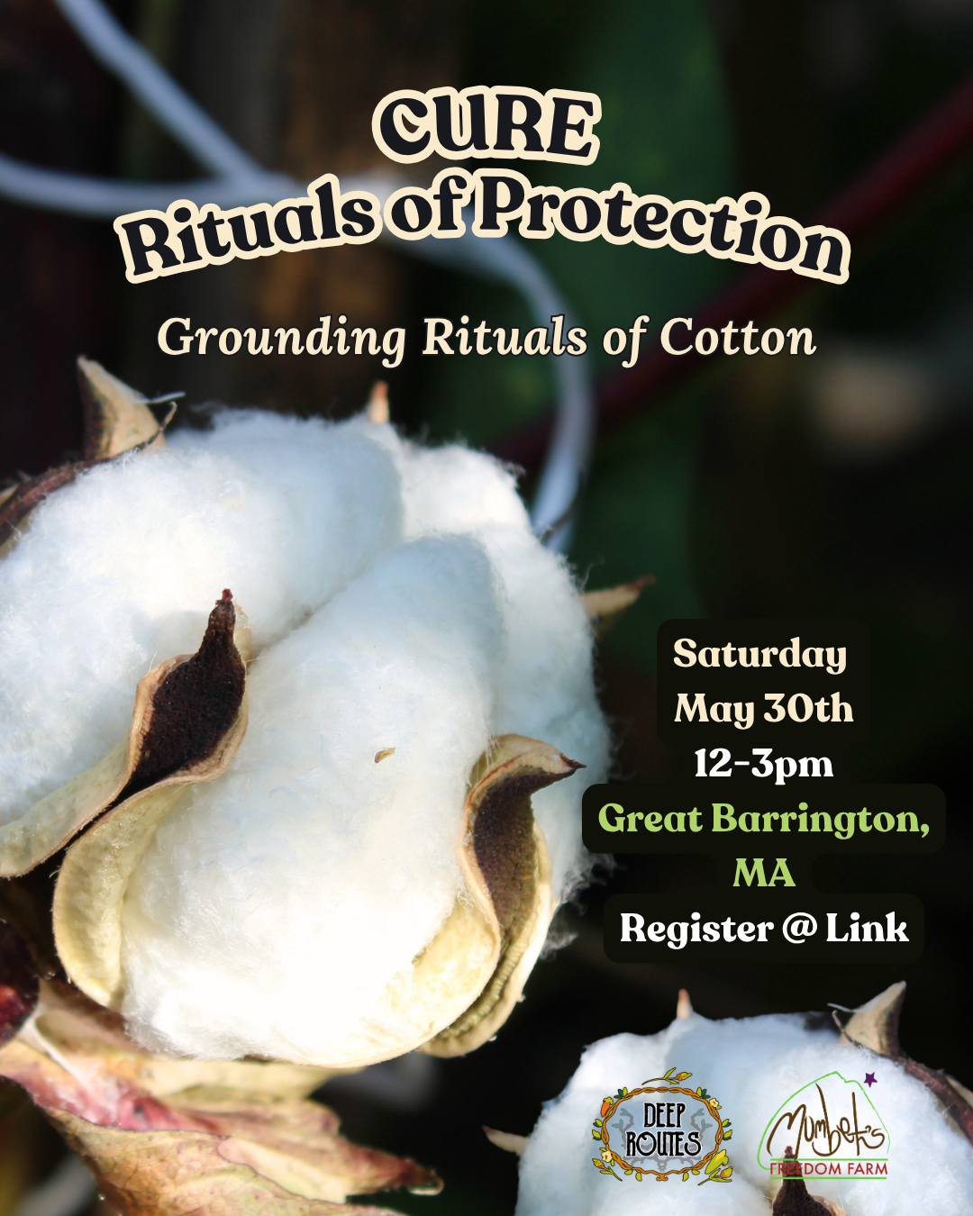 CURE: Rituals of Protection - Pt. 1 Grounding Rituals with Cotton 