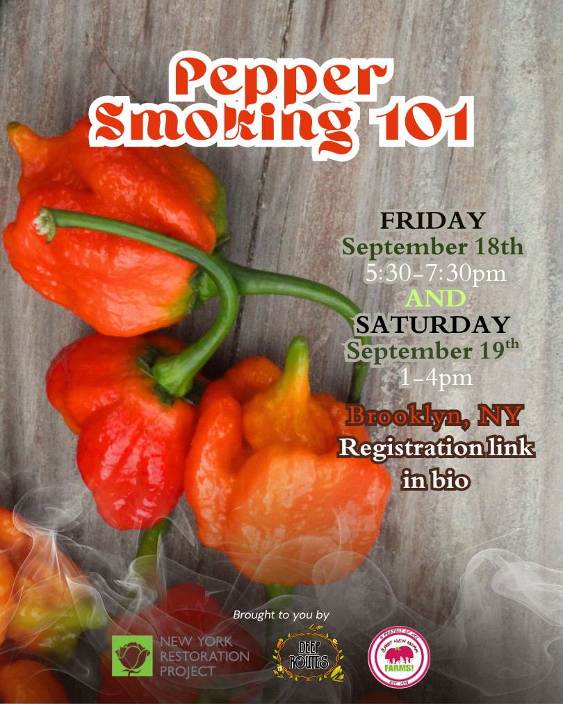 Pepper Smoking 101 (2 Parts)