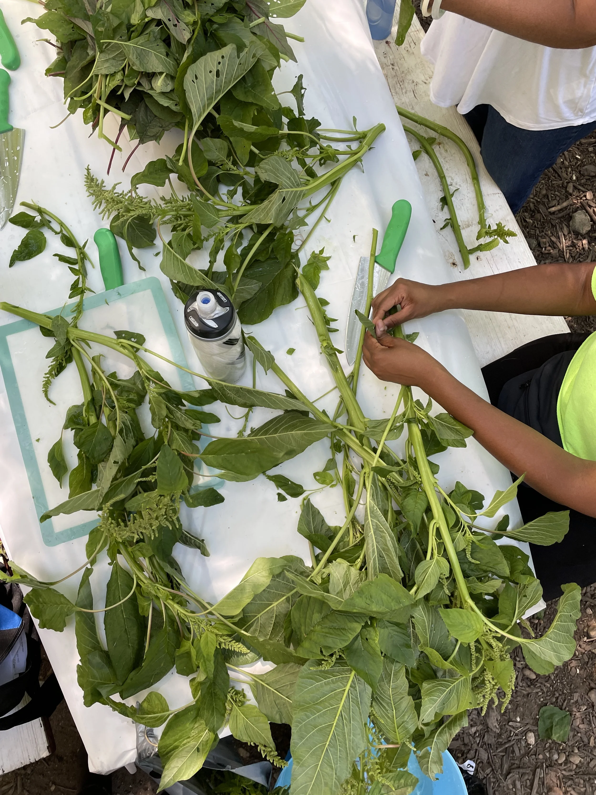 cutting up callaloo