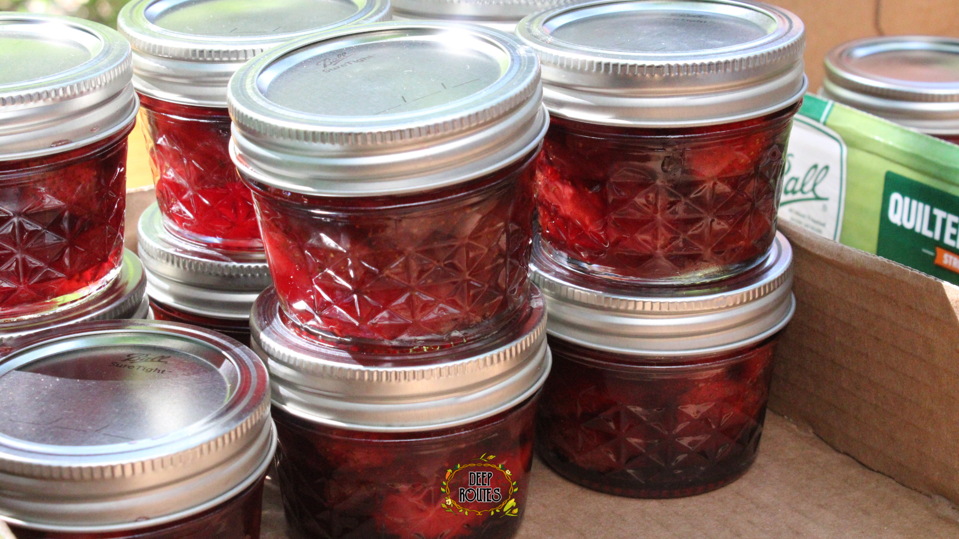Summer Fruit Preservation @ Walt L. Shamel Garden