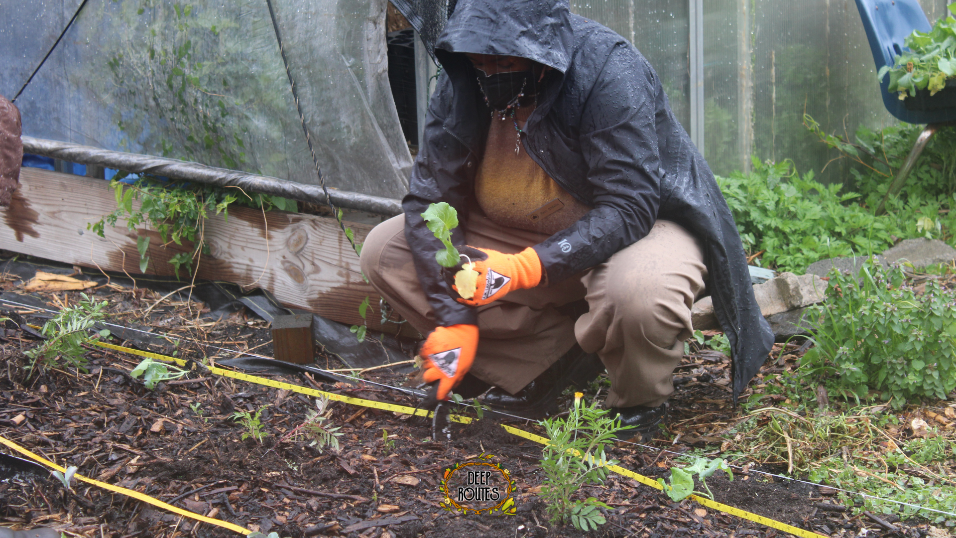 Stewarding Afro-Indigenous Plants into the Soil @ ENYF