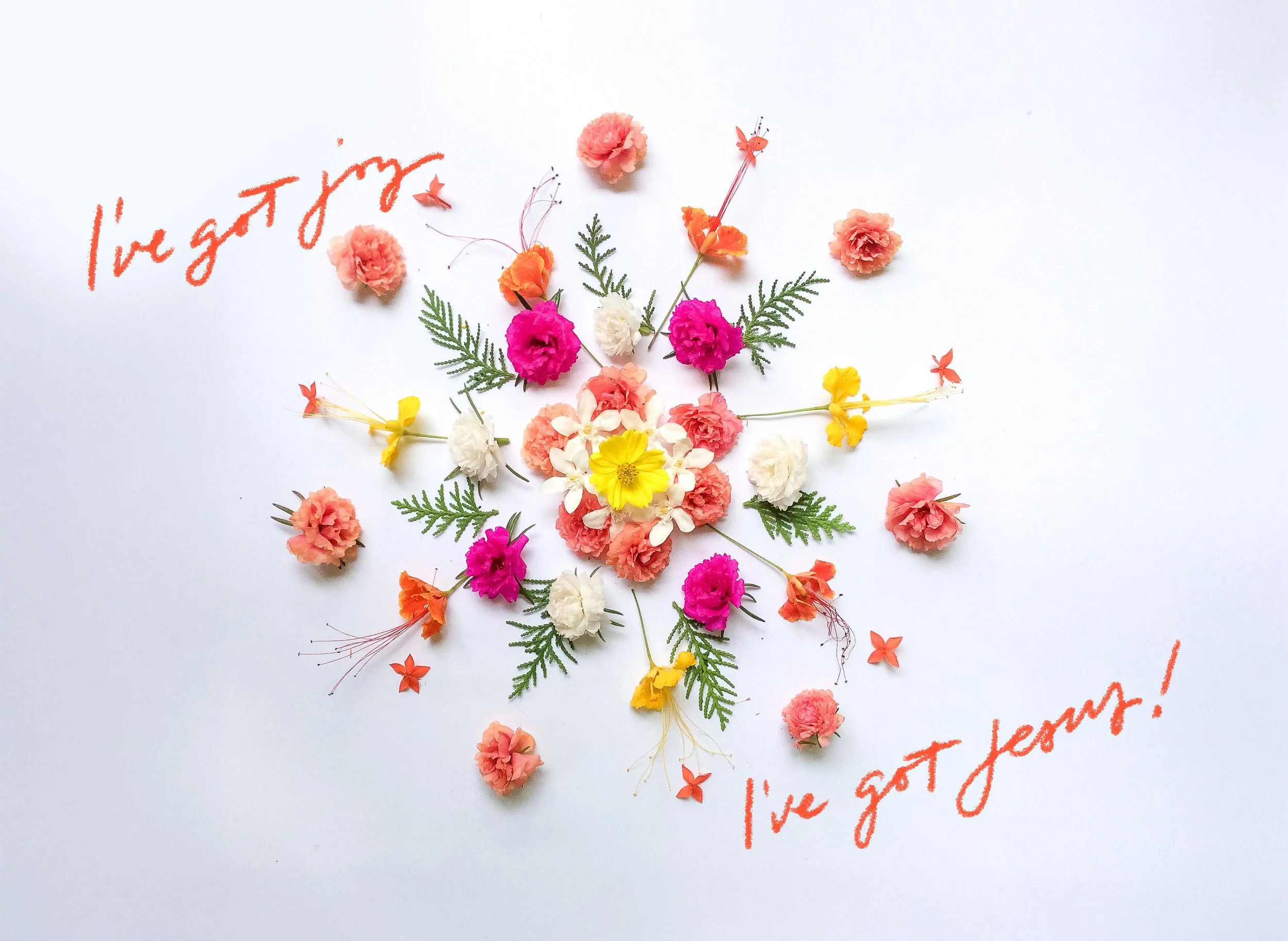 sometimes I feel like joy is just a concept