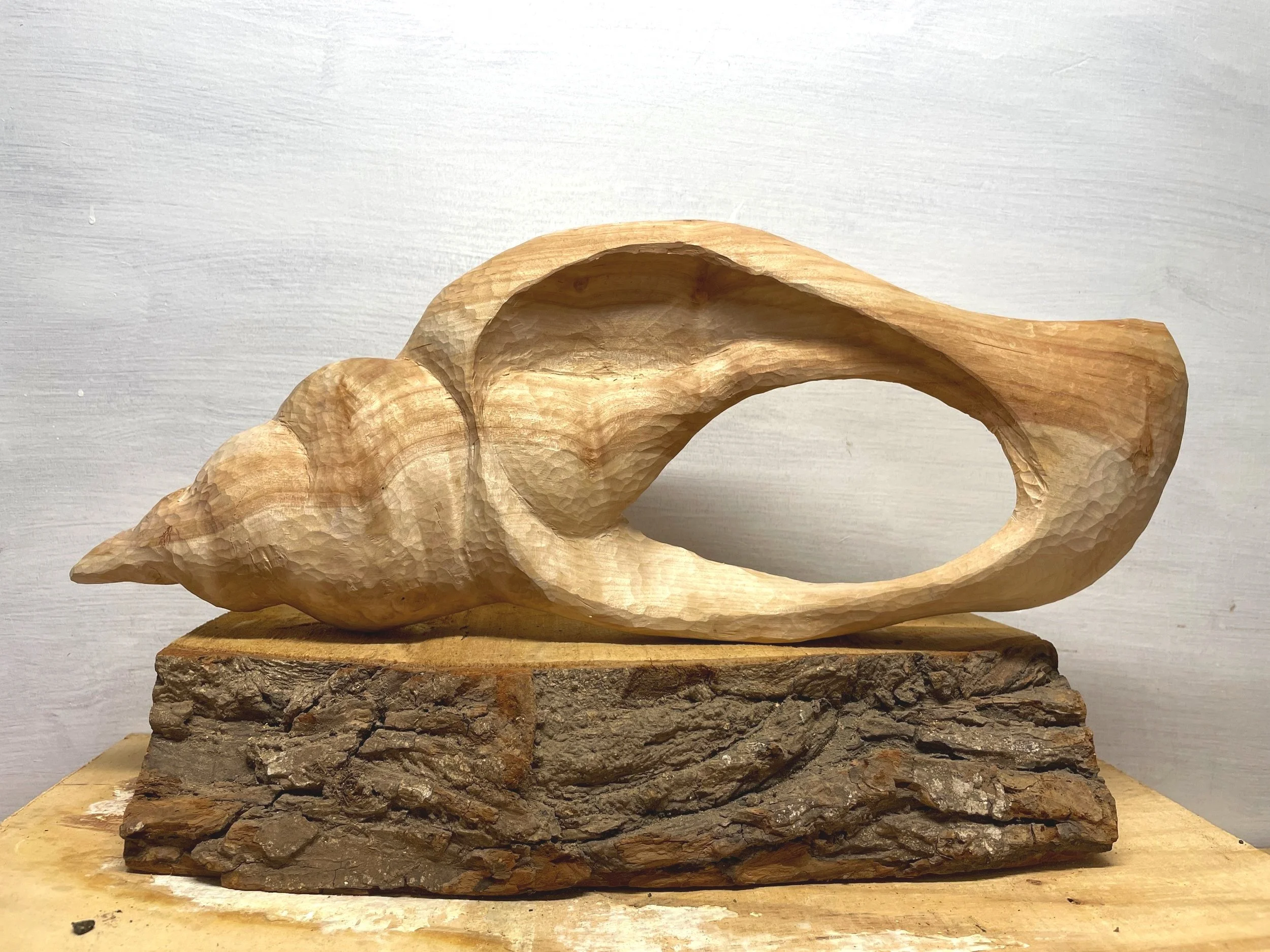 SHELL, Birch 2022