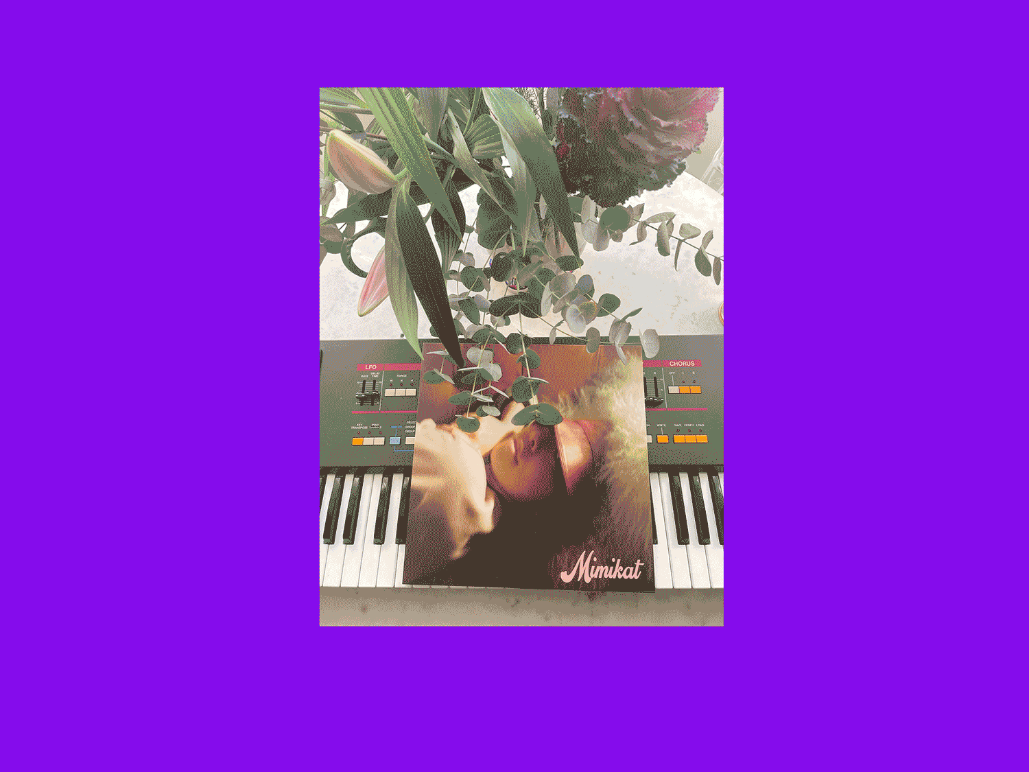 MIMIKAT-VINYL-PROMO-8.gif