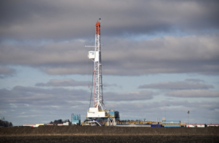 Fermez la porte, les mouches !