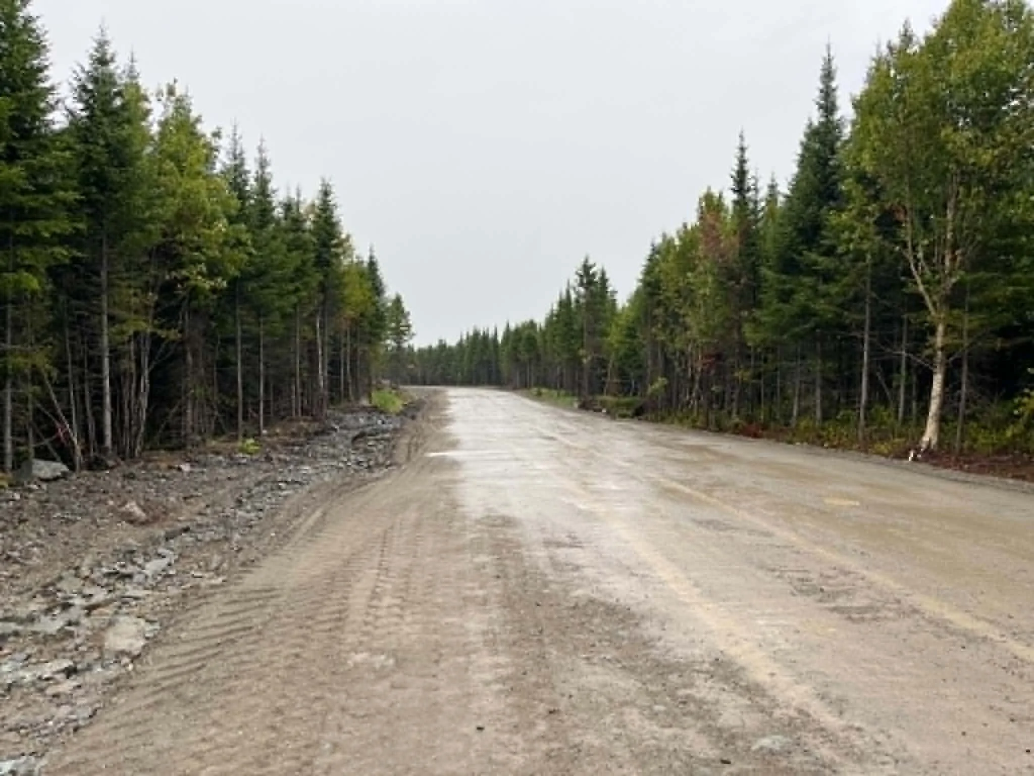 autoroute en foret-parc-eolien-ppaw1..jpeg