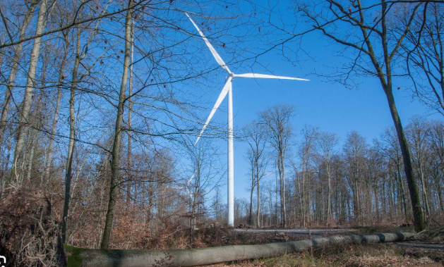 Des éoliennes en forêt : une solution maladaptée à la lutte contre les changements climatiques