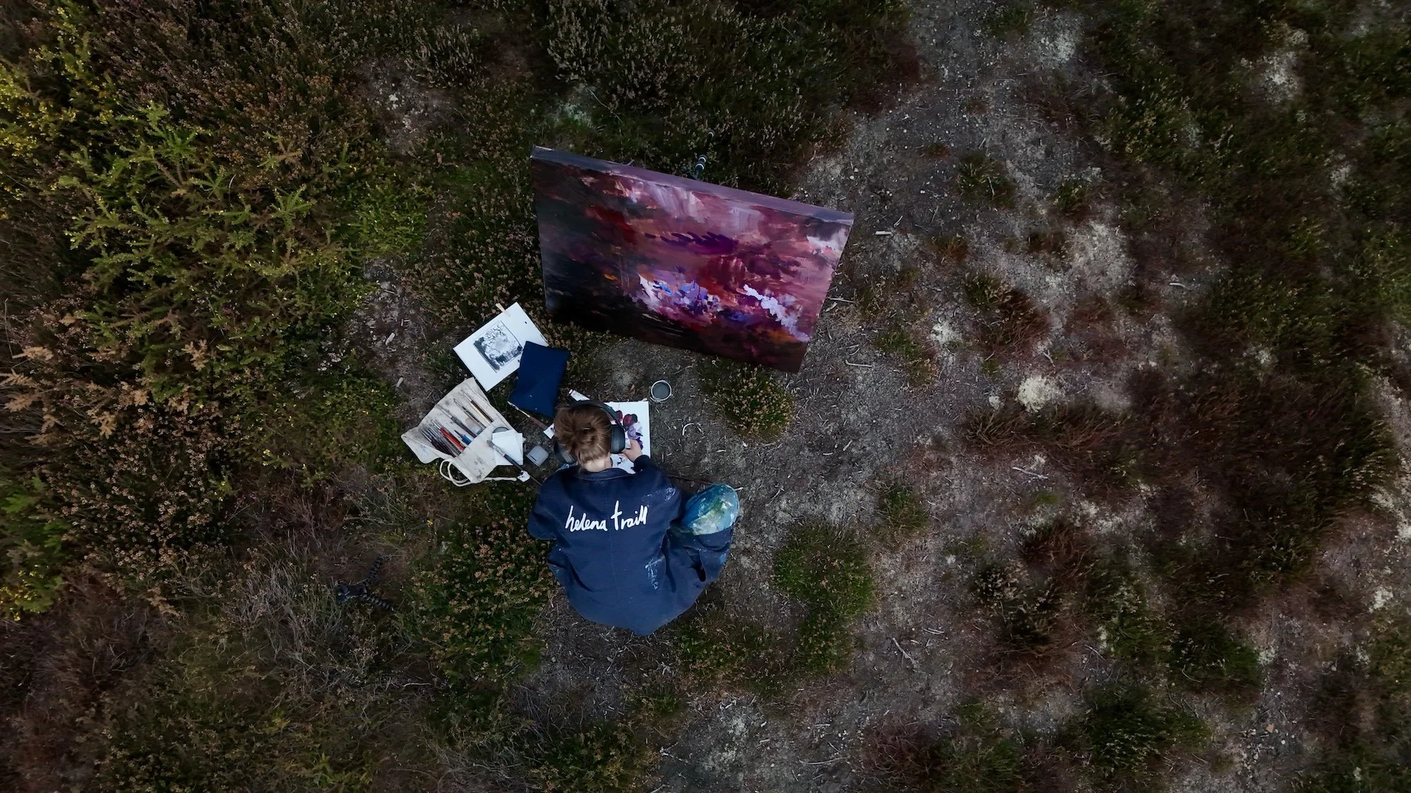 Drone Shot Primal.jpg