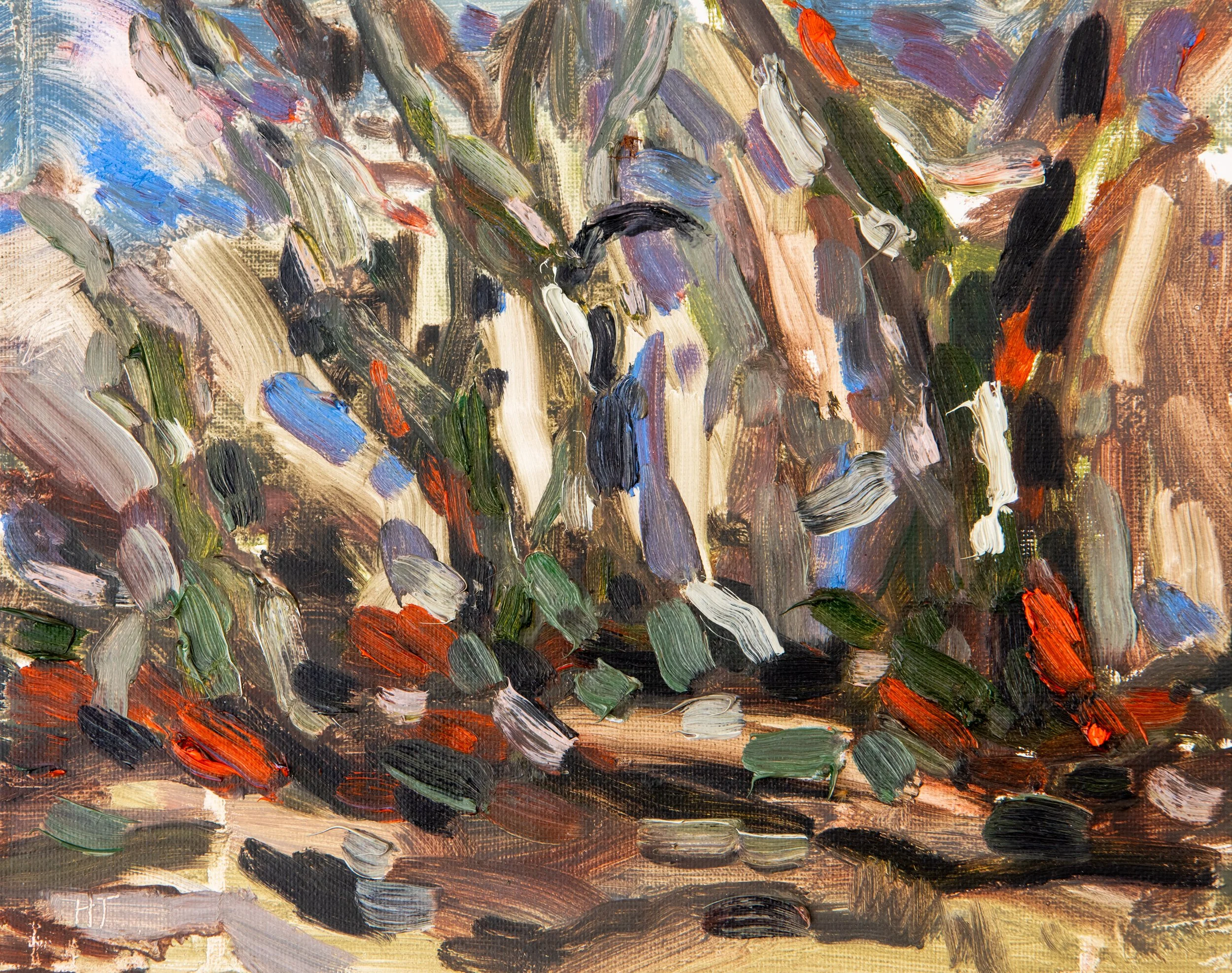 Ancient Trees