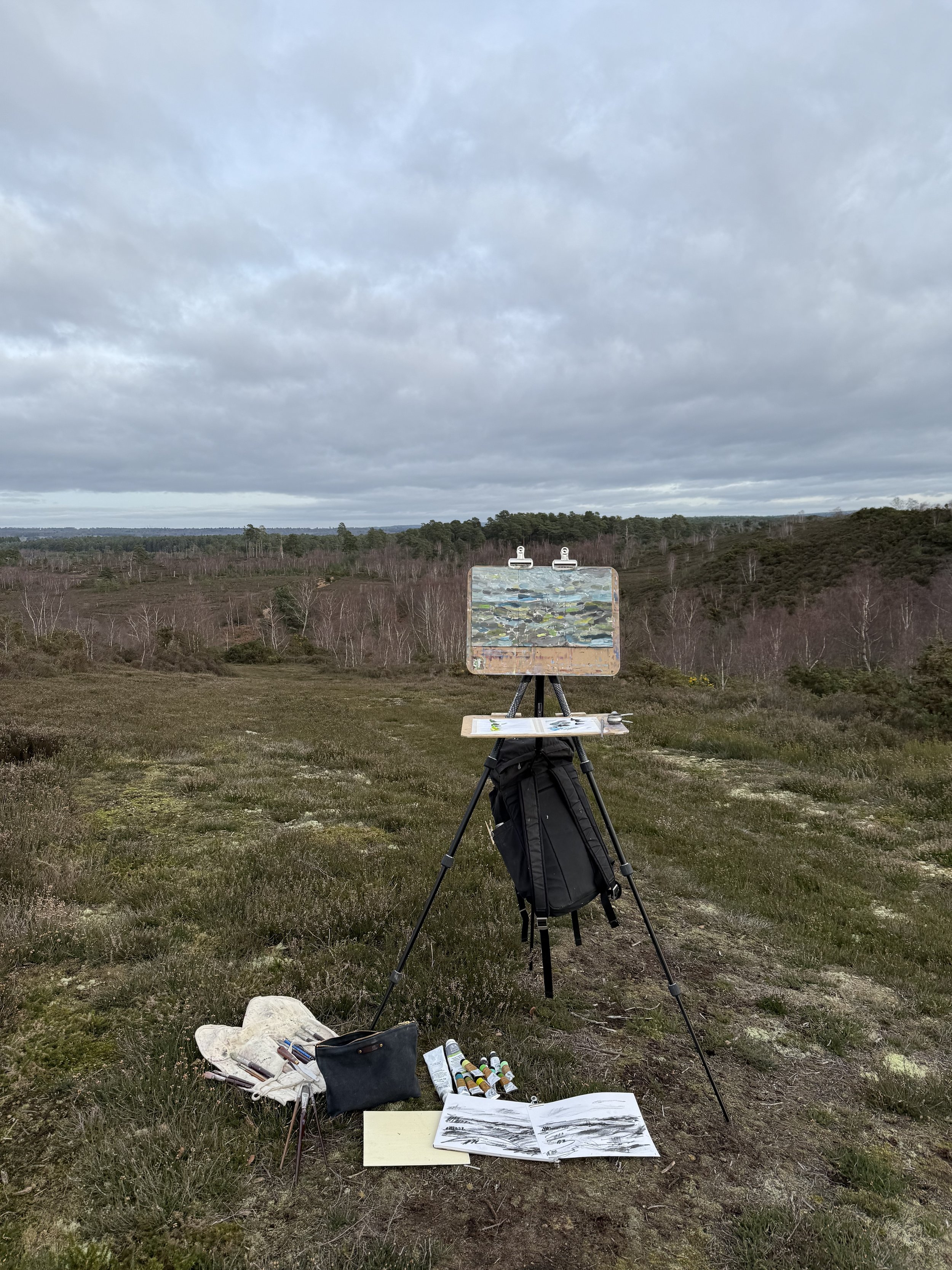 Thursley Common WIP - 3.jpeg