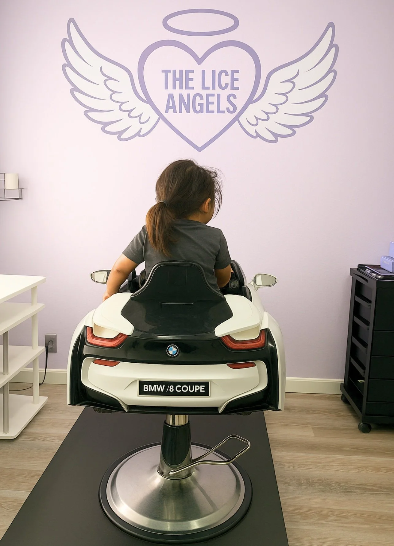 The Lice Angels Llc
