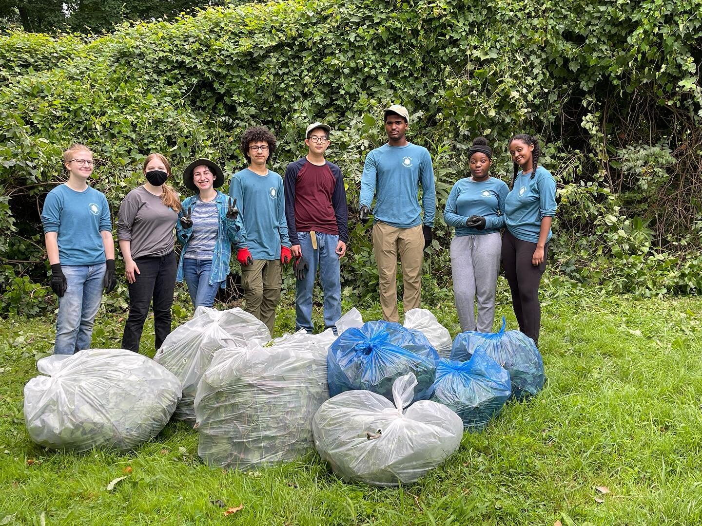 The MoCo crew has spent most of the mornings this week removing invasive plants from Boundary Bridge and Meadowbrook Local Park. 

So far this summer, we&rsquo;ve removed close to 75 bags of invasive plants to go along with our 250 pounds of litter. 