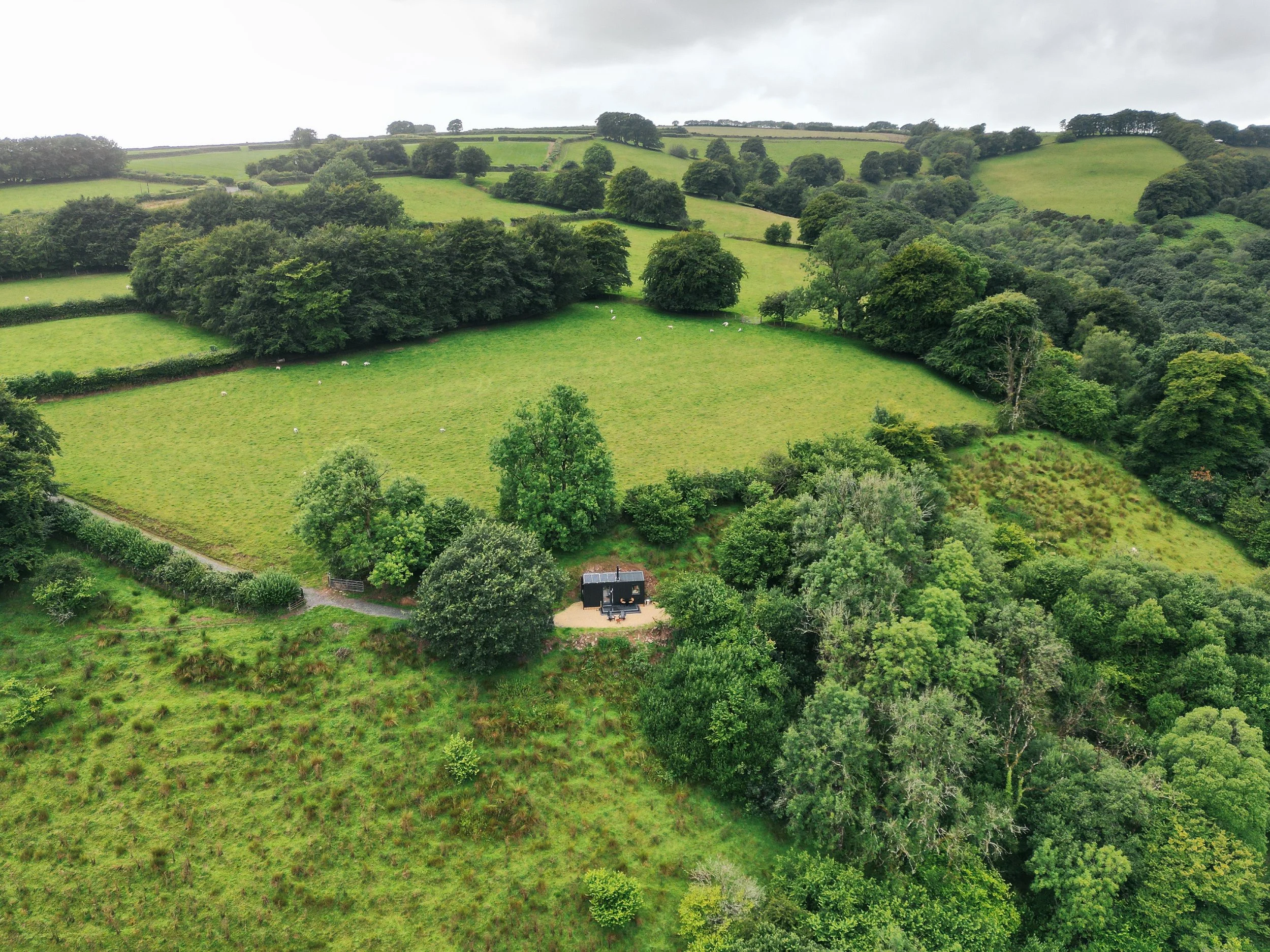 An off-grid Unplugged cabin among the trees in Devon