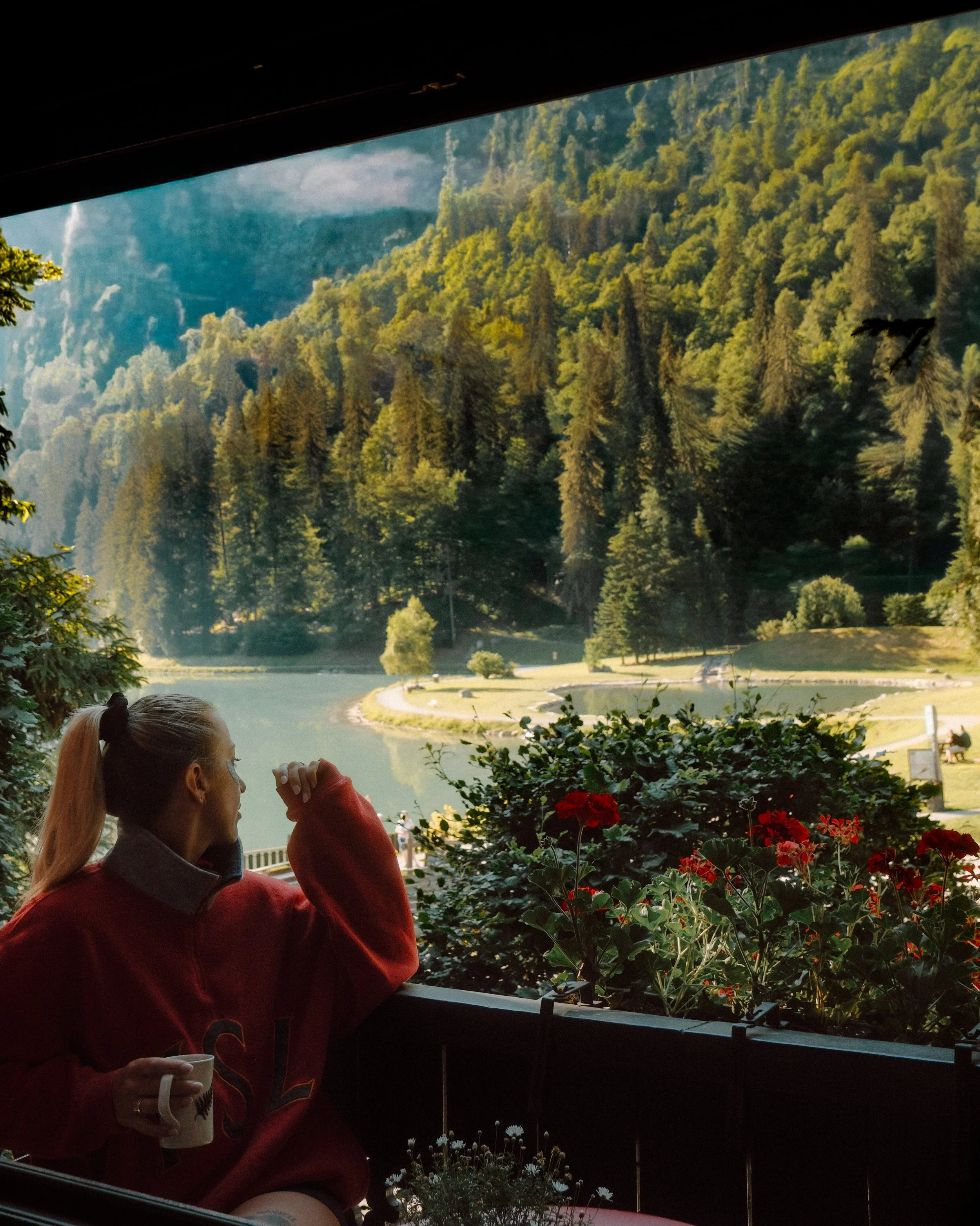 Le Petit Rêve chalet overlooking Lac Montriond in the French Alps