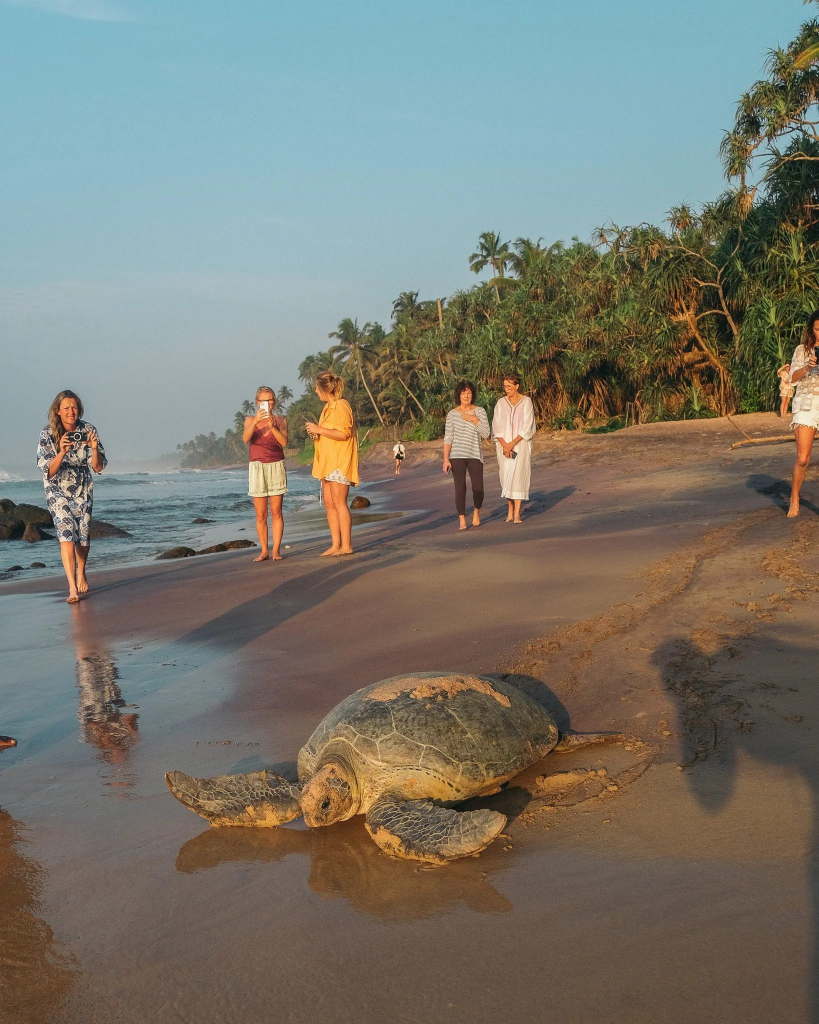 Golden hour on the beach in front of Meda Gedara villa with Turtle