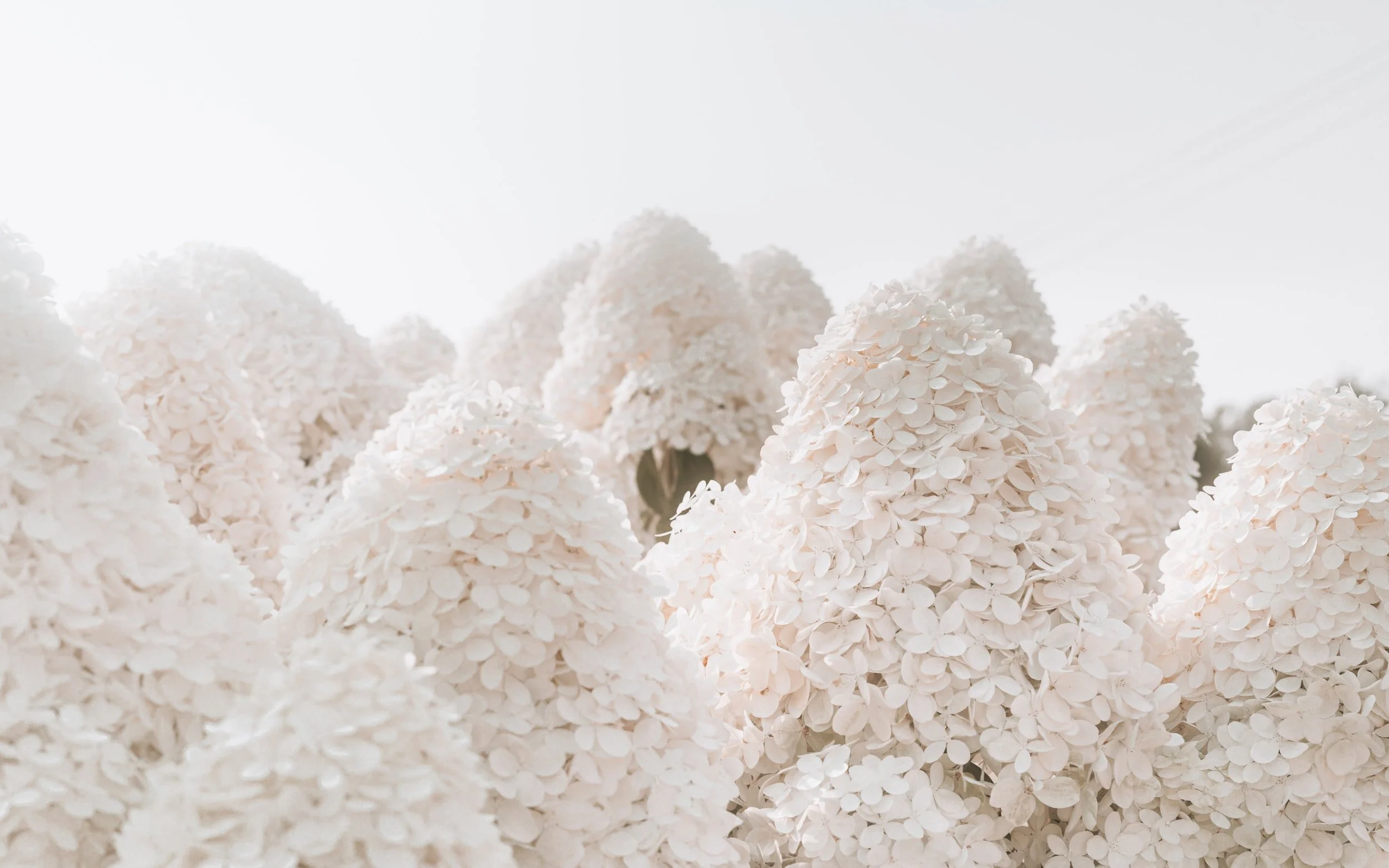 unsplash-image-D_wS2zZ4f98.jpg