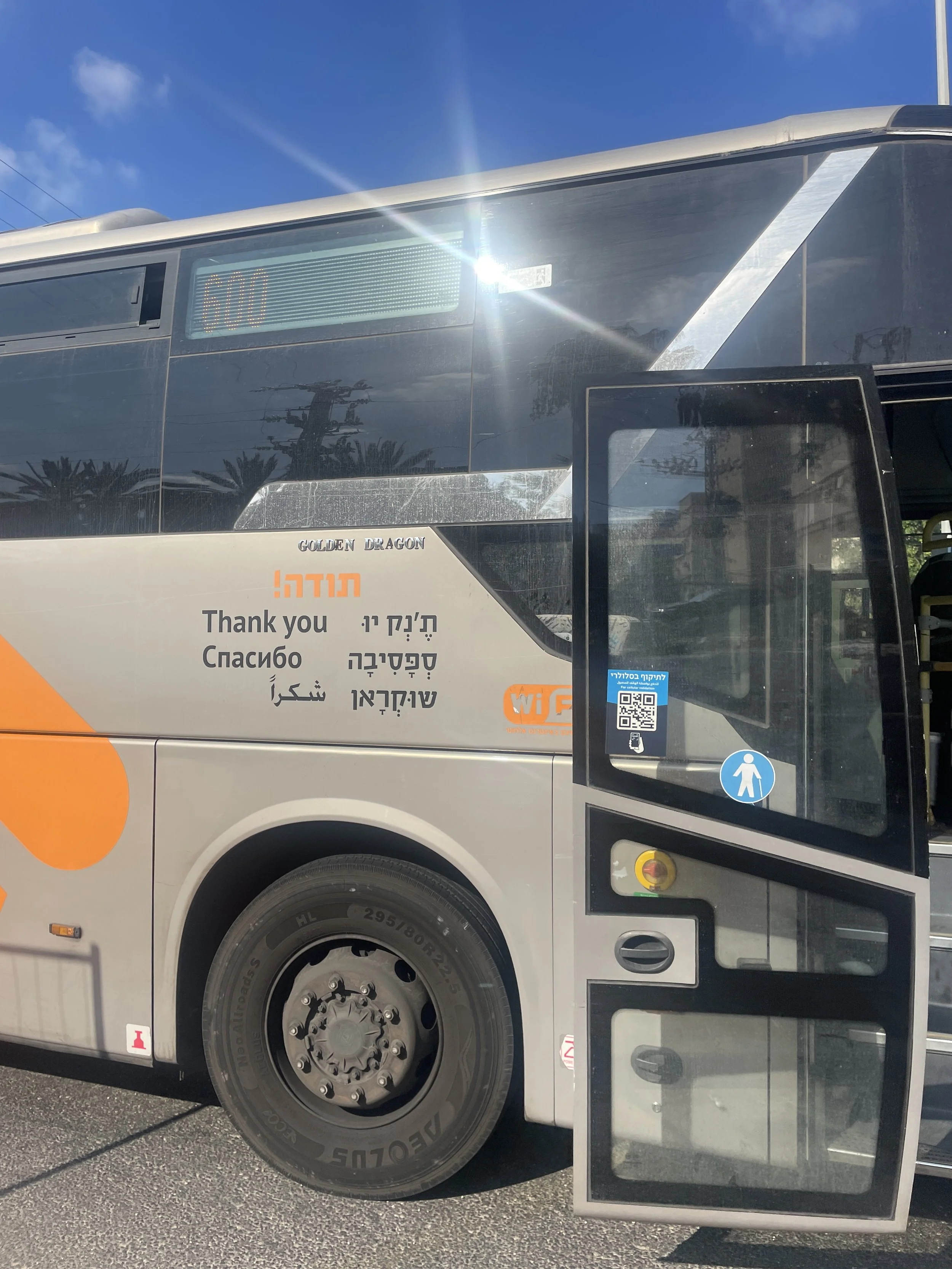 A tribute to Israeli buses