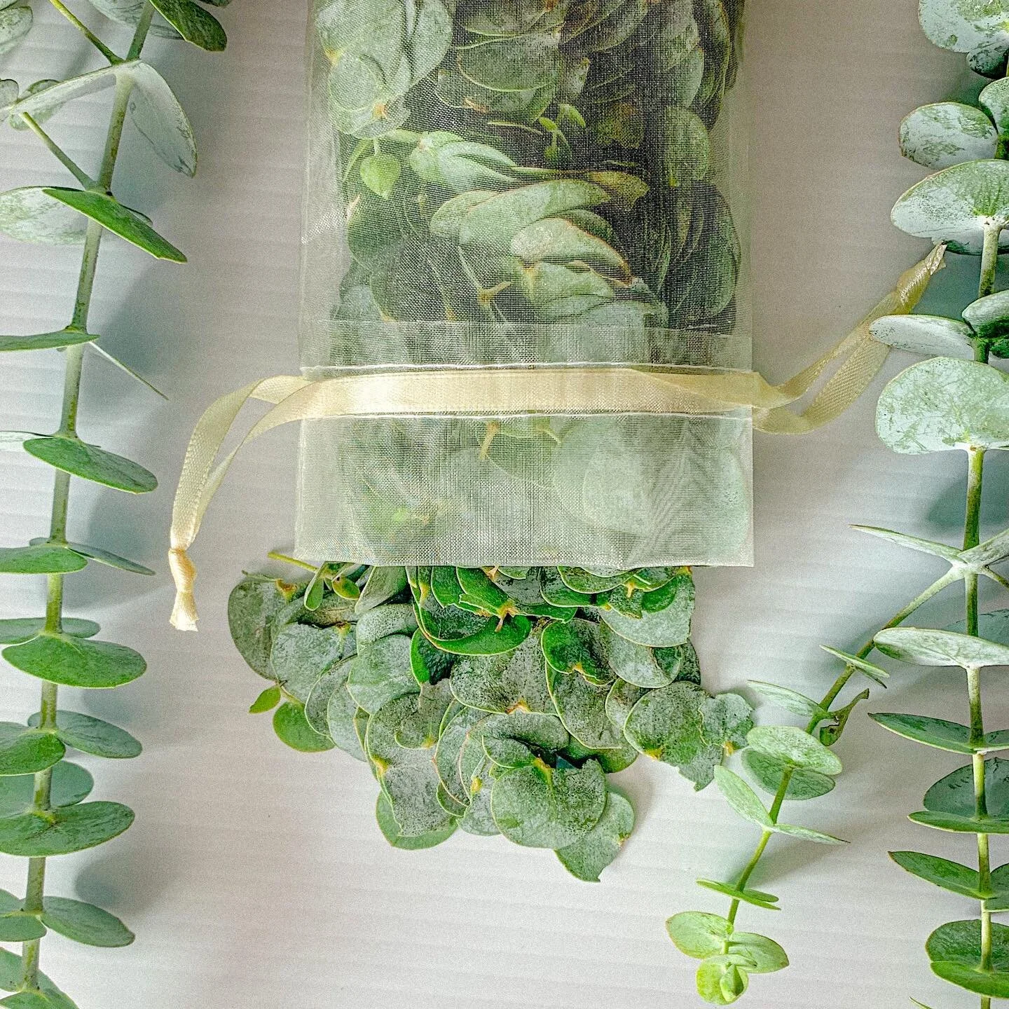 HEY YALL!!! 
I want to welcome the new addition to #LIKASFAM 🤩
Eucalyptus PAUches are AVAILABLE NOW!! 
I like to think they&rsquo;re an all-around tea bags because they can be used for bath, air freshener for your cars, and potpourri for your house!