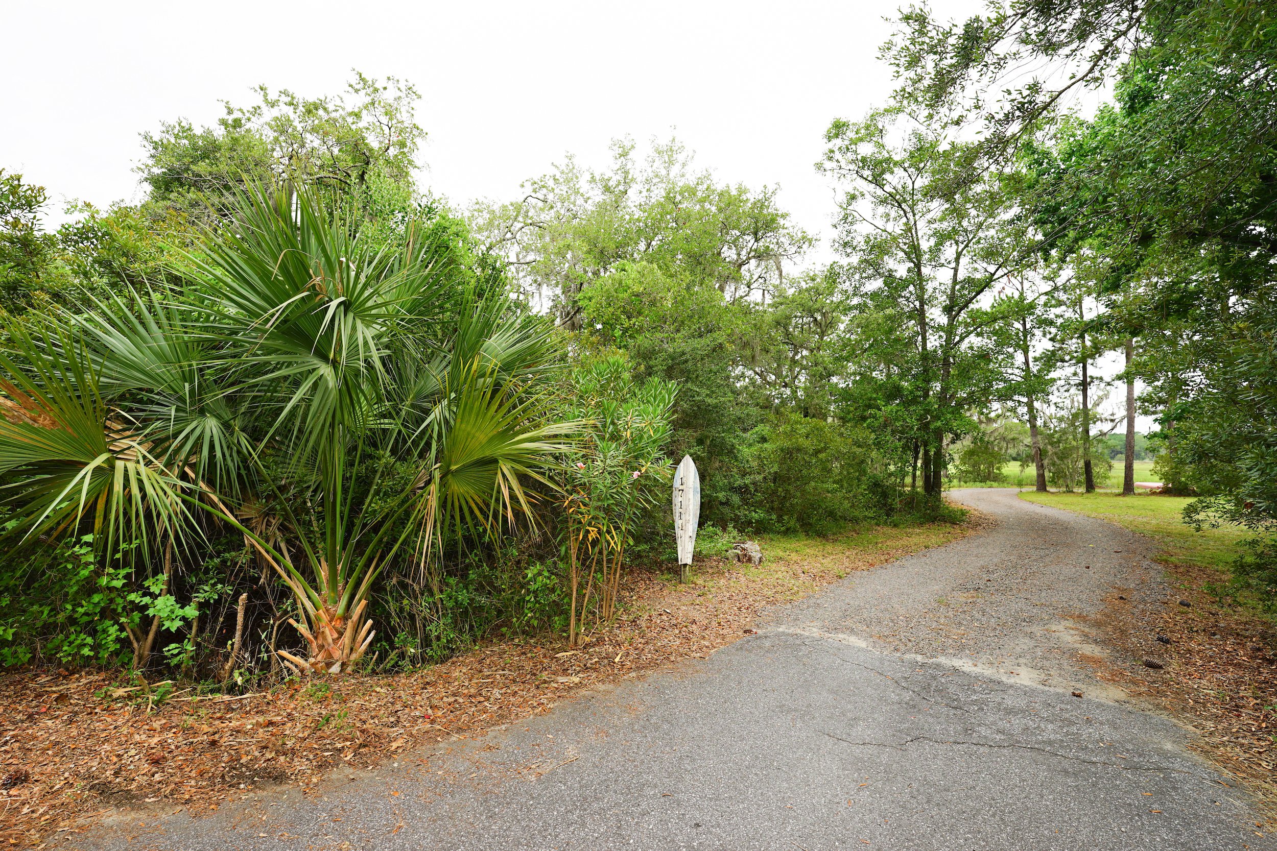 DRIVEWAY ENTERANCE