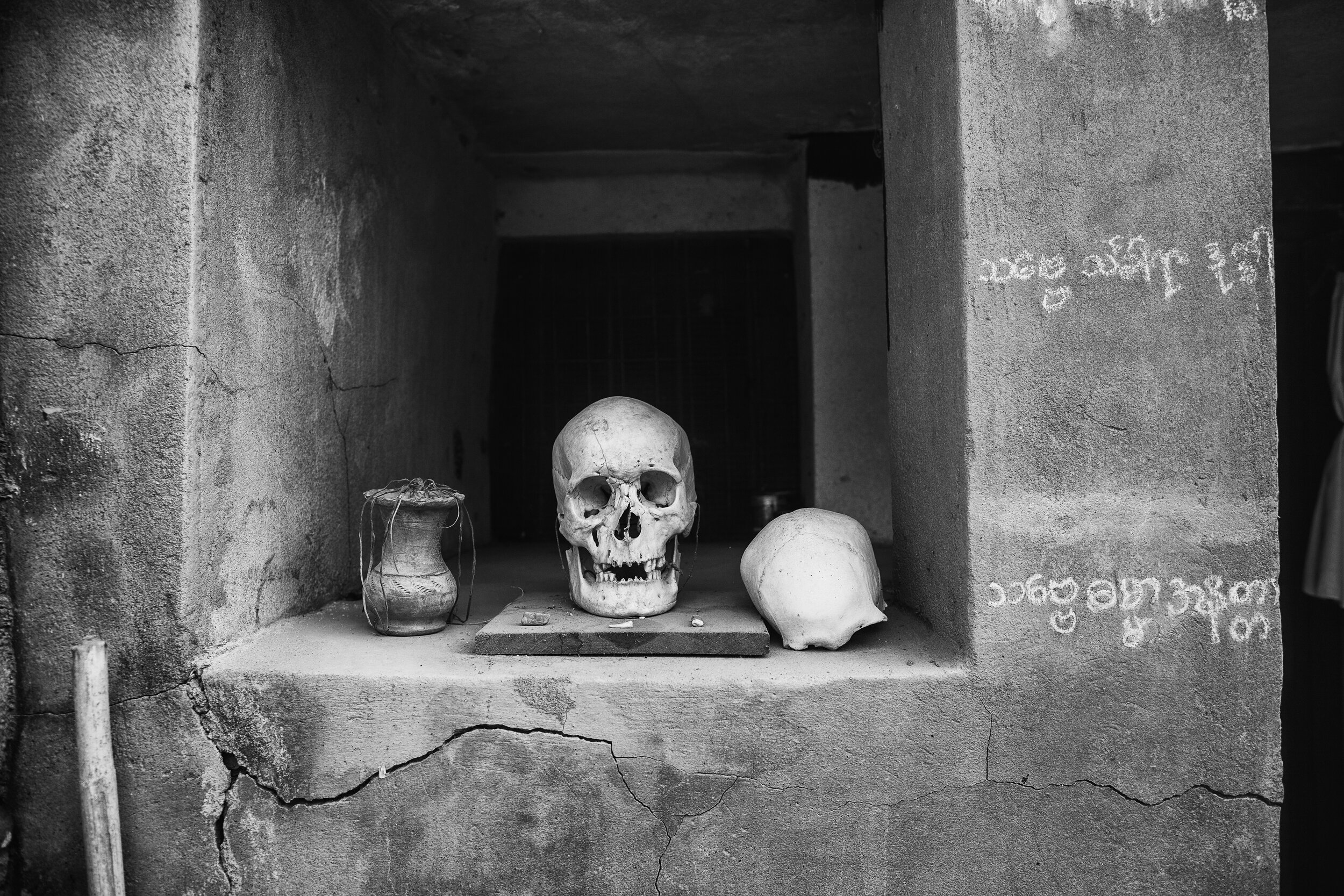 skull.jpg