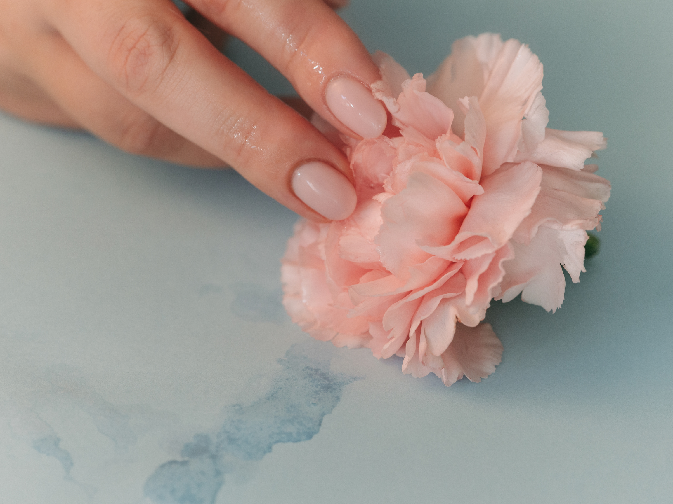 Vaginal Estradiol &amp; Menopause Care