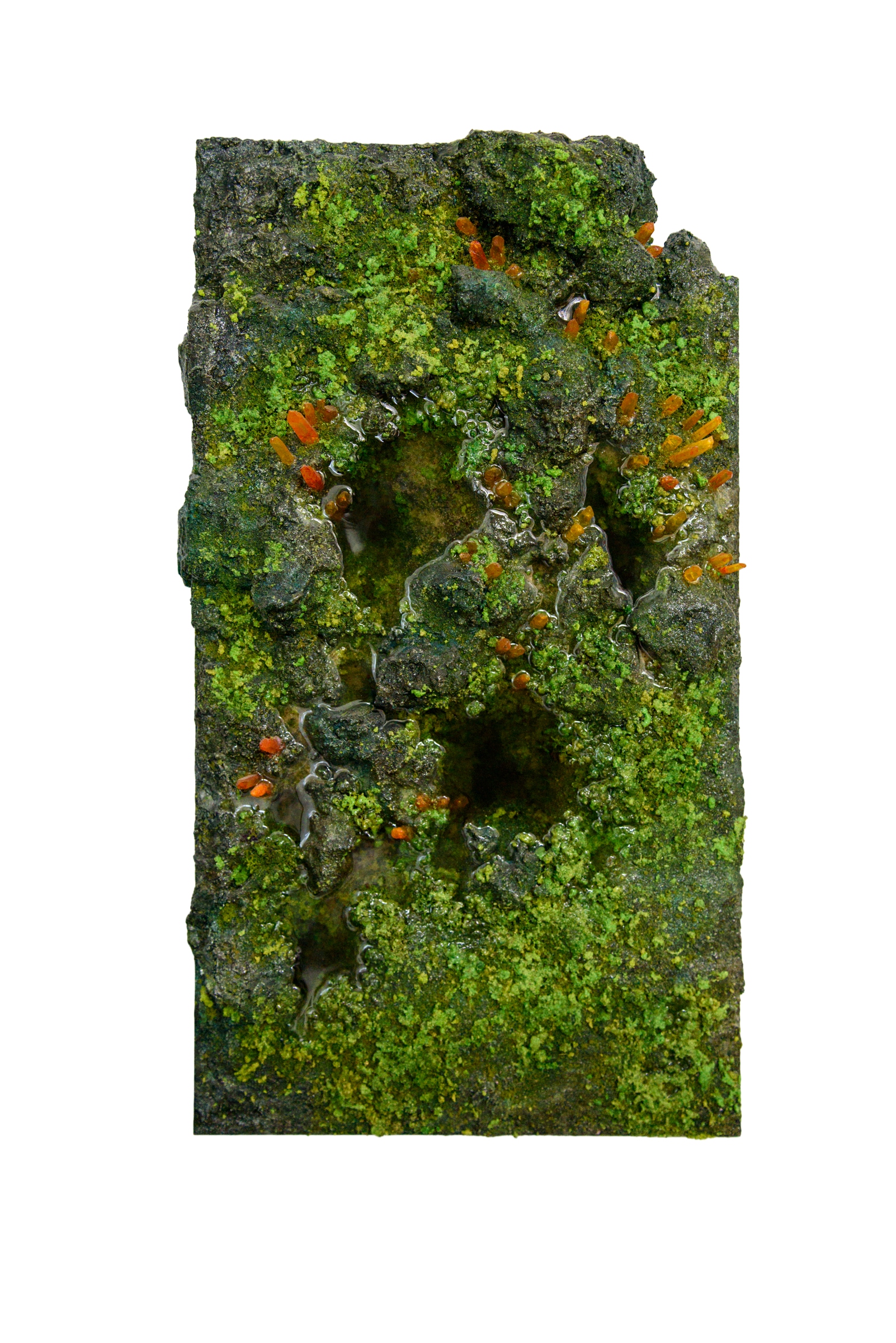 swamp (t).png