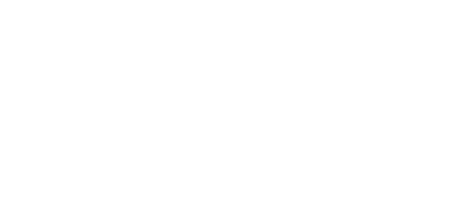 19th Annual Irish Party Logo