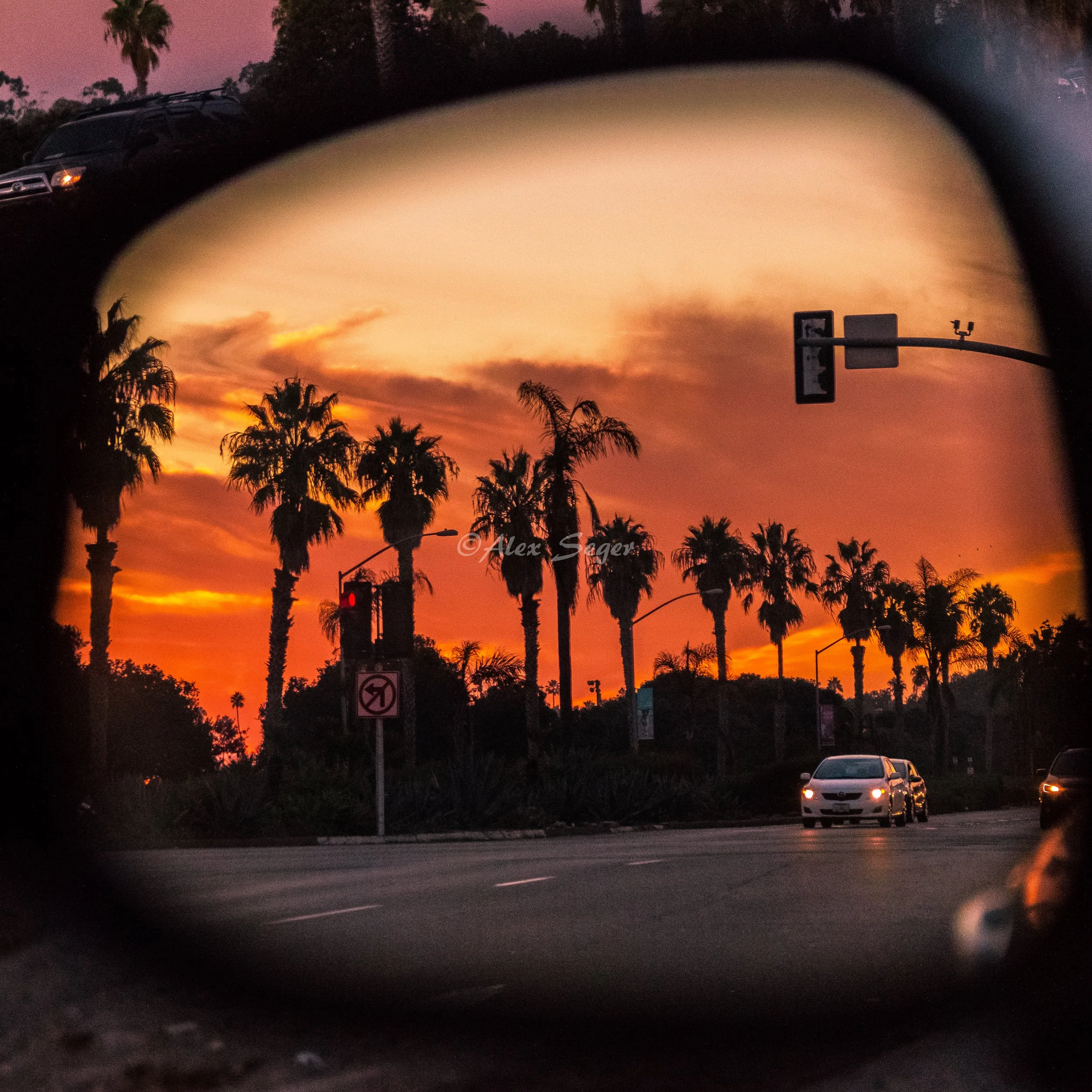 San Diego Reflections | Rearview Palm Sunset