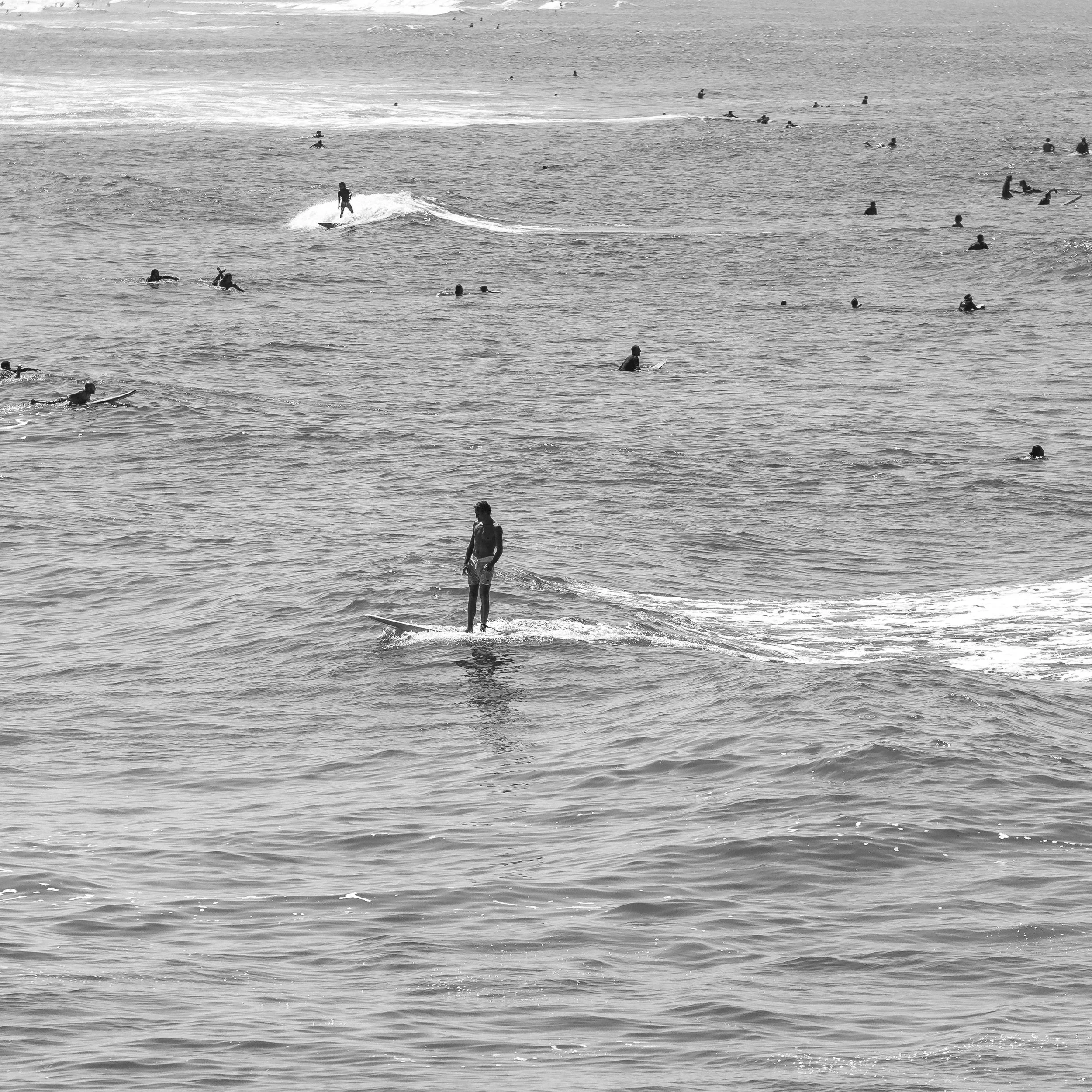 North County Glide | Oceanside Surfing