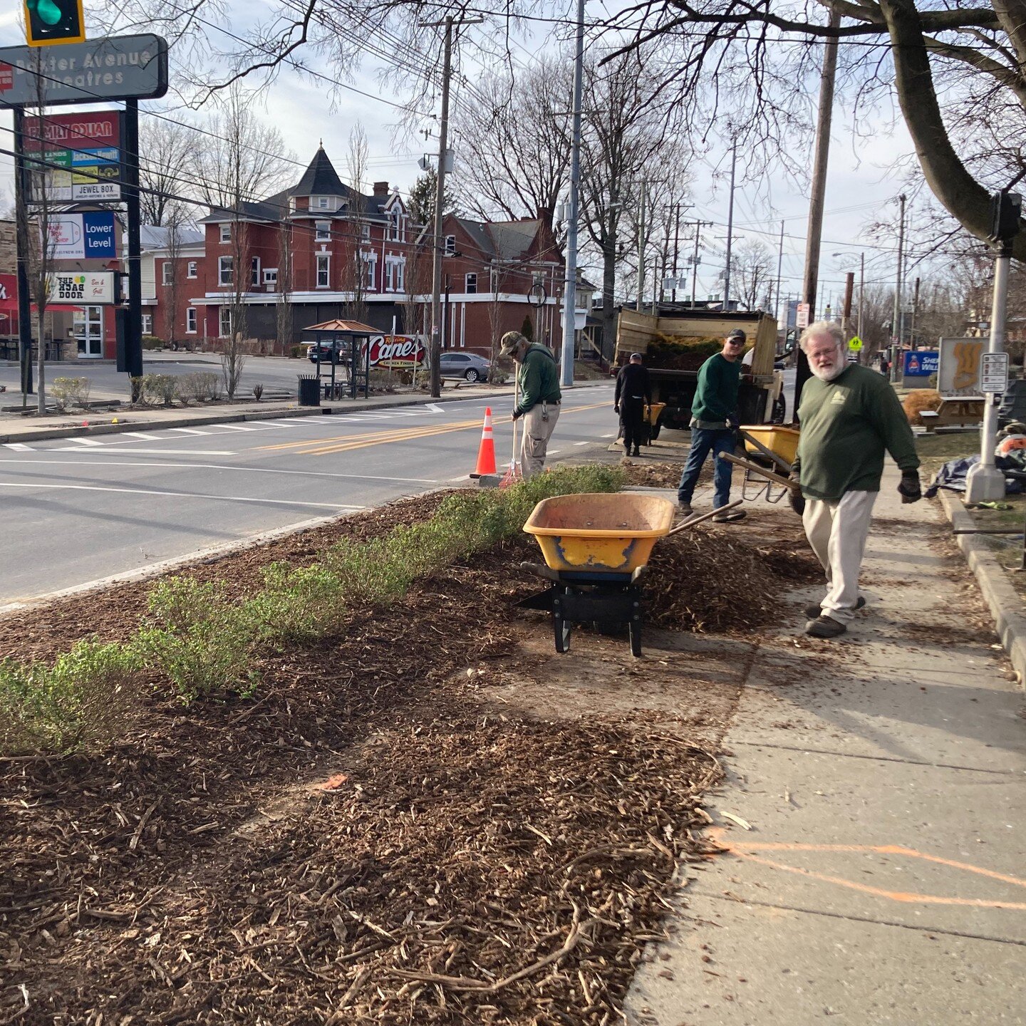 Planting begins on Bardstown Road! 

Over the next 2-3 weeks, the 'bumpouts' along Bardstown Road in the Highlands will be filled with shrubs, grasses, and flowers.

Fully-funded by us - The Friends of Bardstown Road

Donate here to support our work!