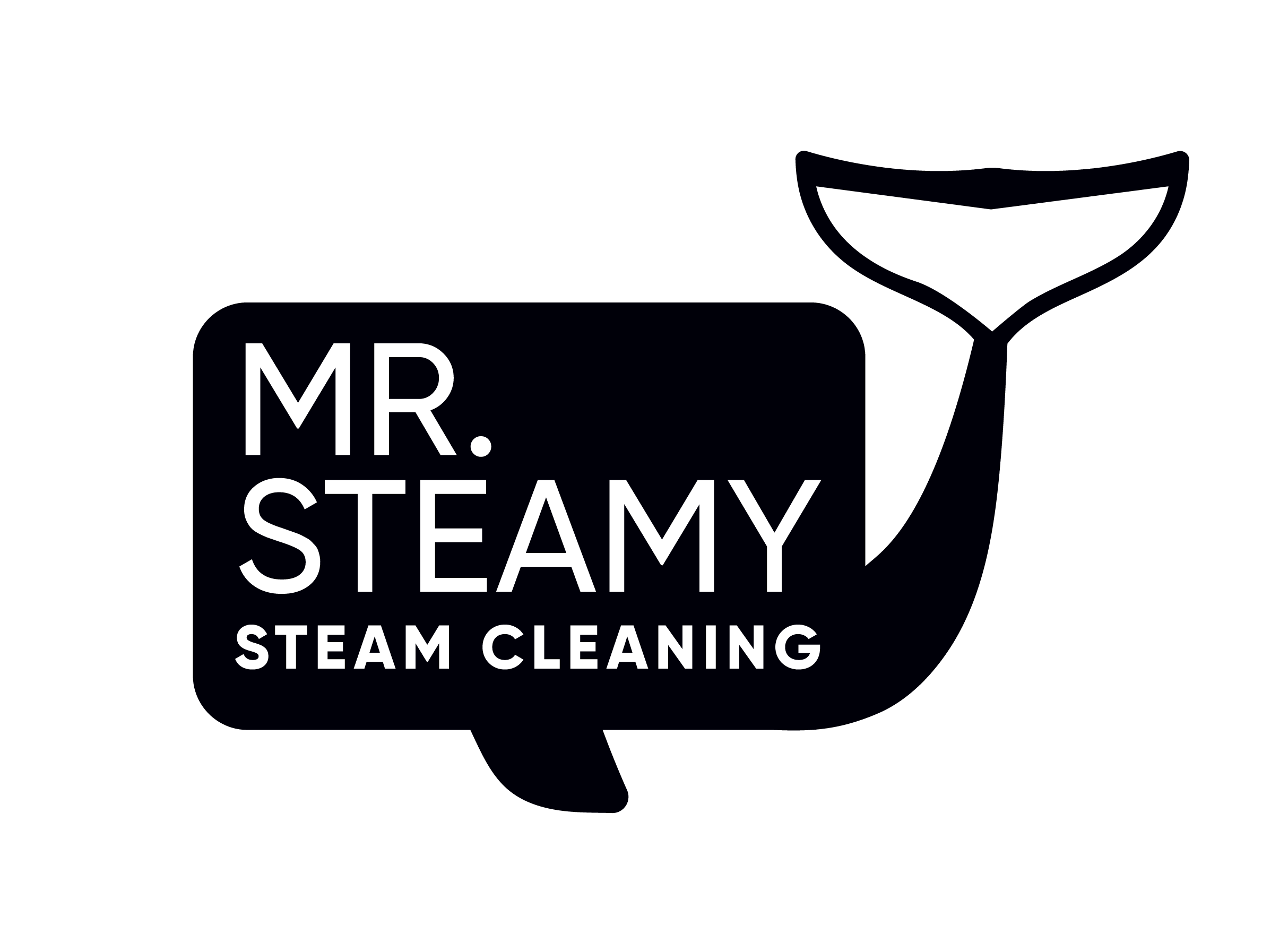 Logo design for Mr. Steamy Steam Cleaning featuring a stylized whale icon with a tail shaped like a steam cleaner wand. The mark combines character with clear service symbolism for a modern steam cleaning business focused on freshness and approachabi